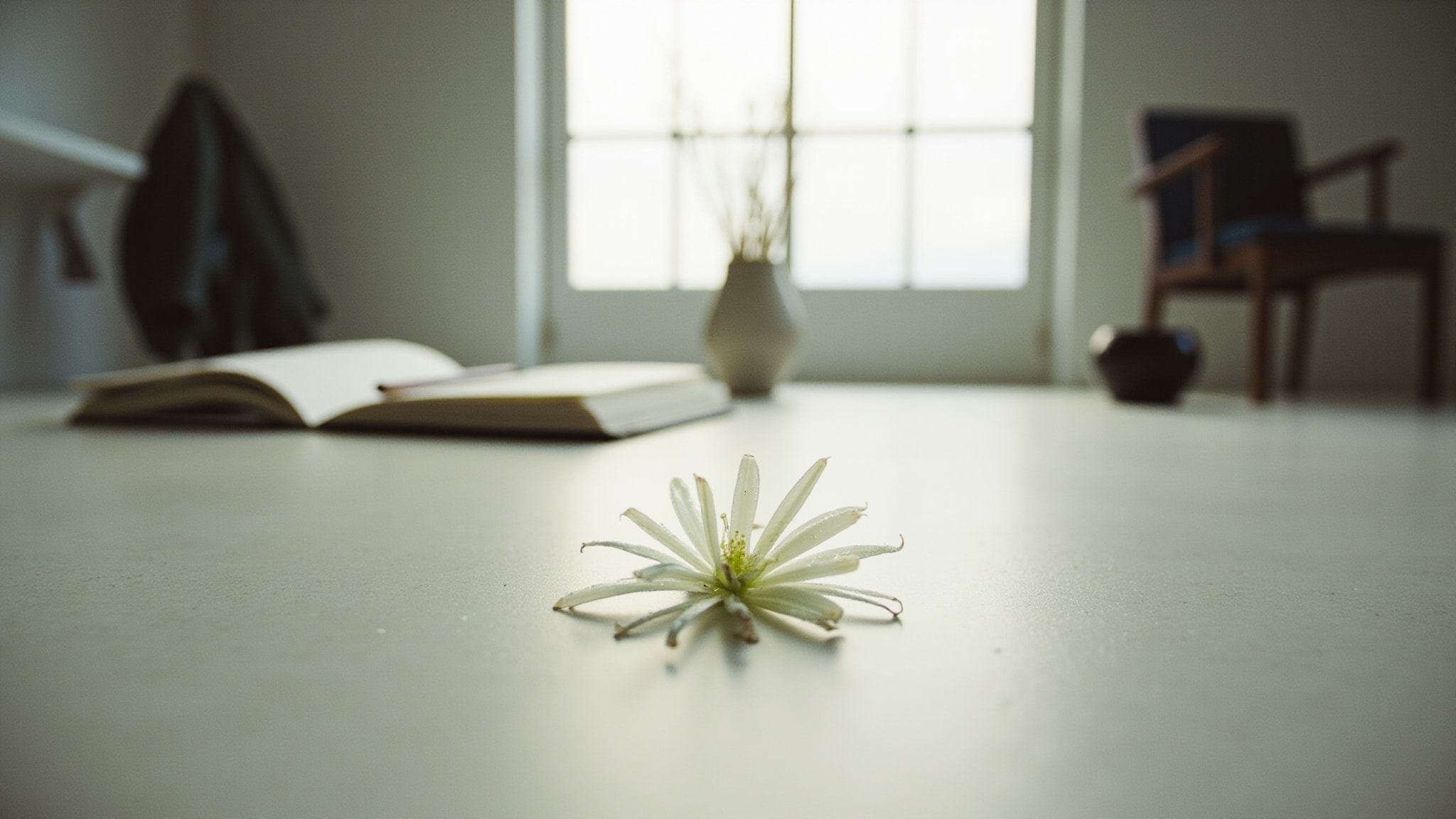 Soliflore Cactus Orchid by Dame Perfumery. Atmospheric mood