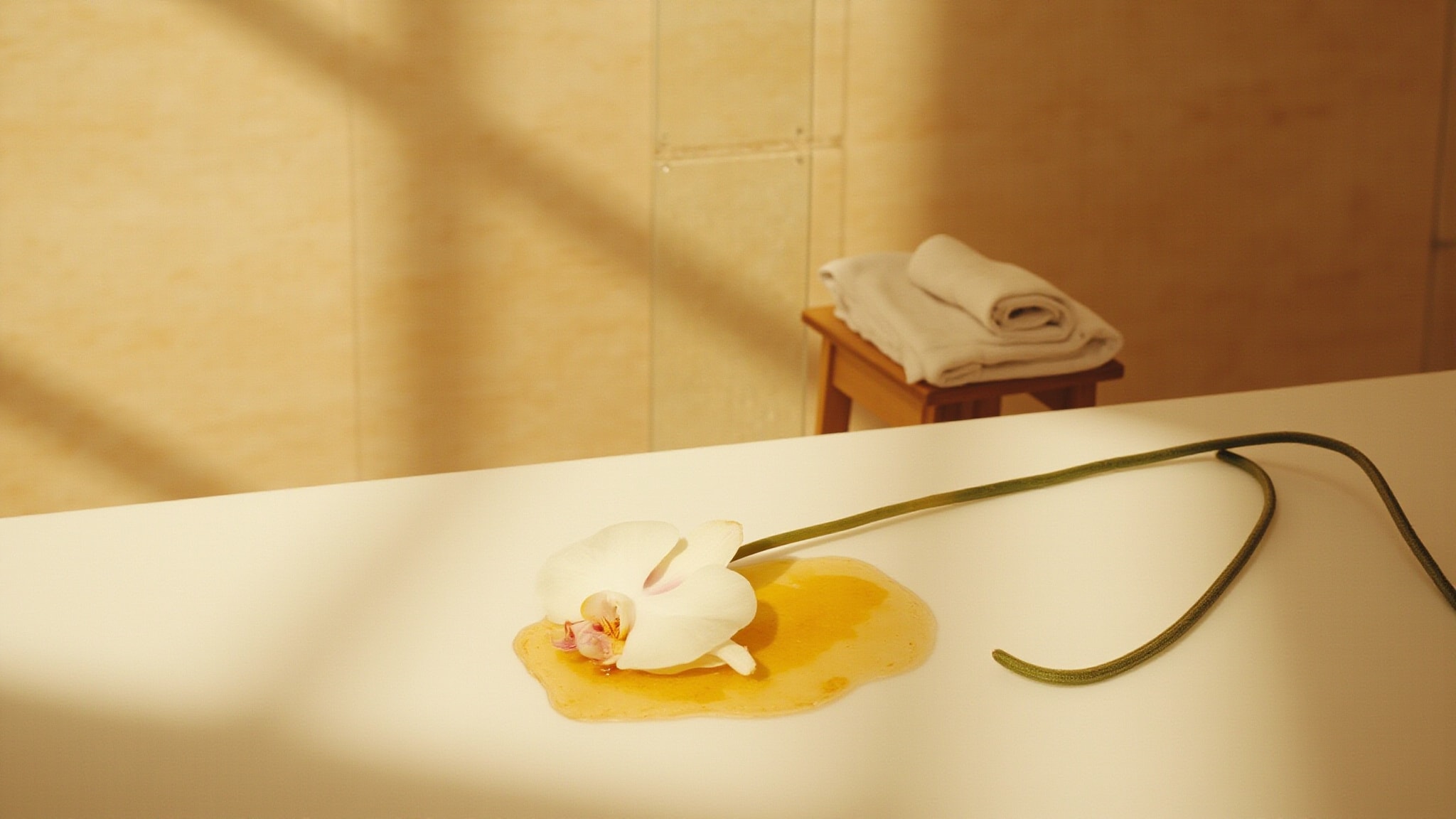 Aphrodite's Slipper Orchid by Demeter Fragrance. Atmospheric mood
