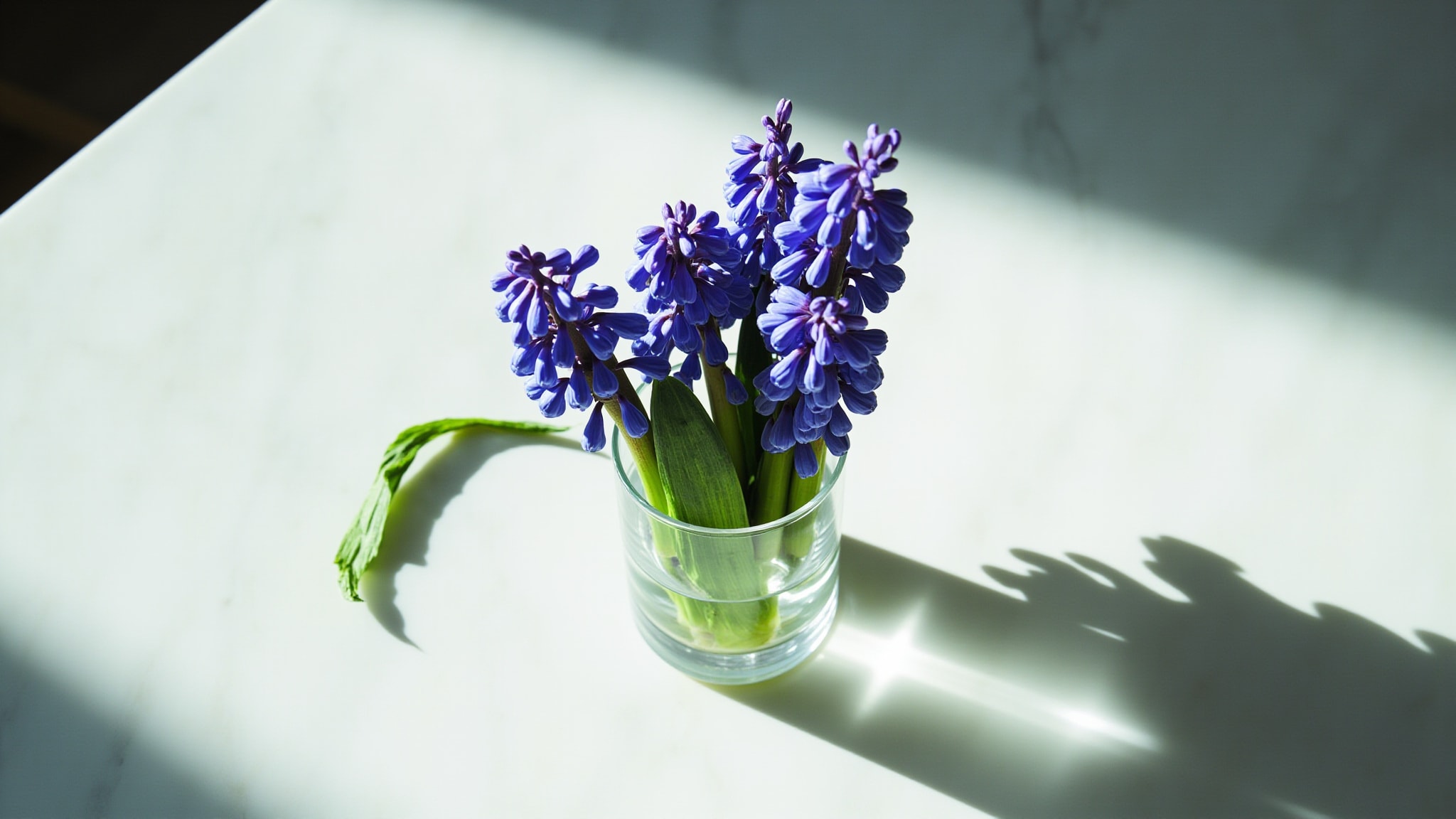 Hyacinth by Demeter Fragrance. Atmospheric mood