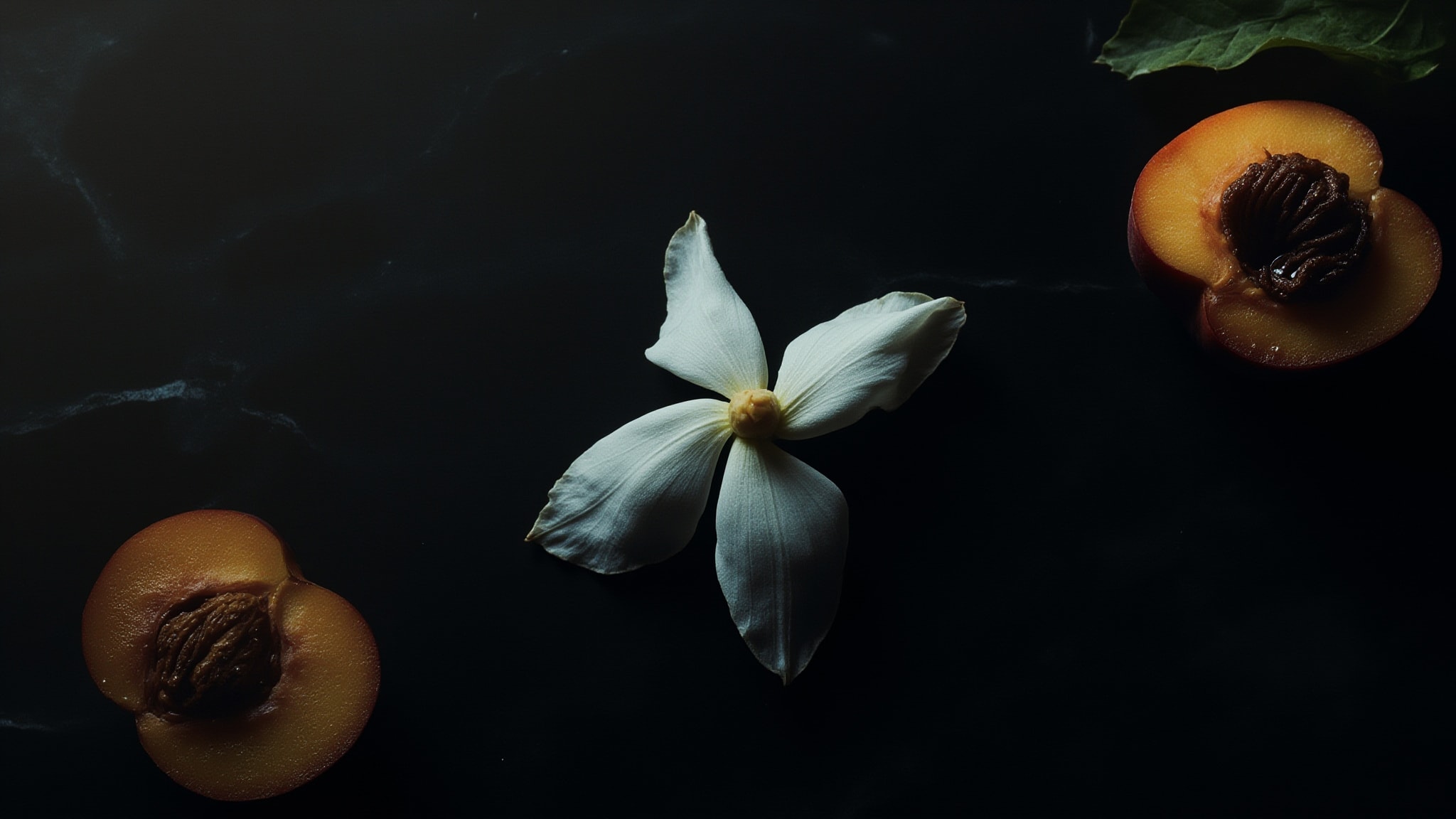 Shadow Flowers by Demeter Fragrance. Atmospheric mood