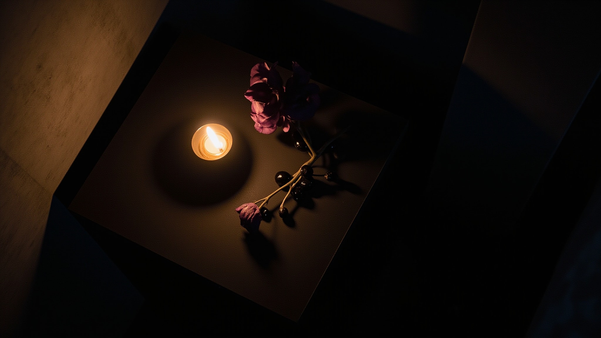 Vampire Blooms by Demeter Fragrance. Atmospheric mood