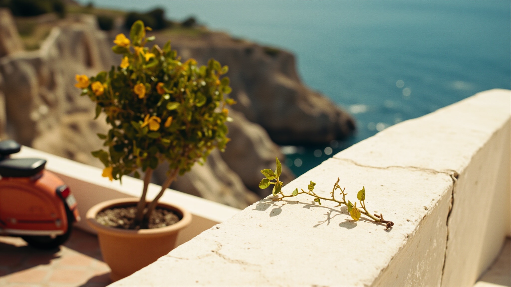 Light Blue Pour Homme Beauty of Capri by Dolce&Gabbana. Atmospheric mood