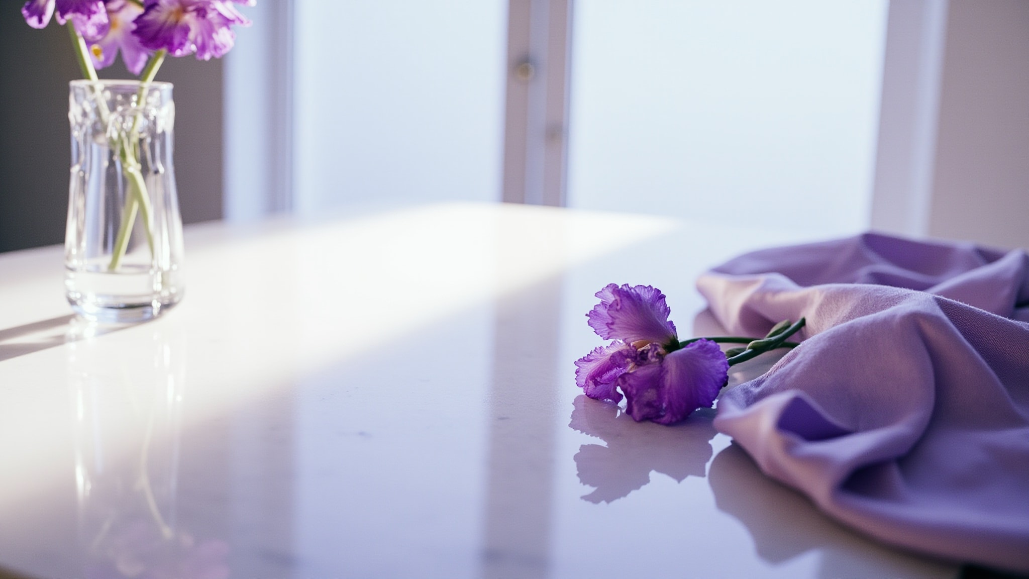 Iris by Donna Karan. Atmospheric mood