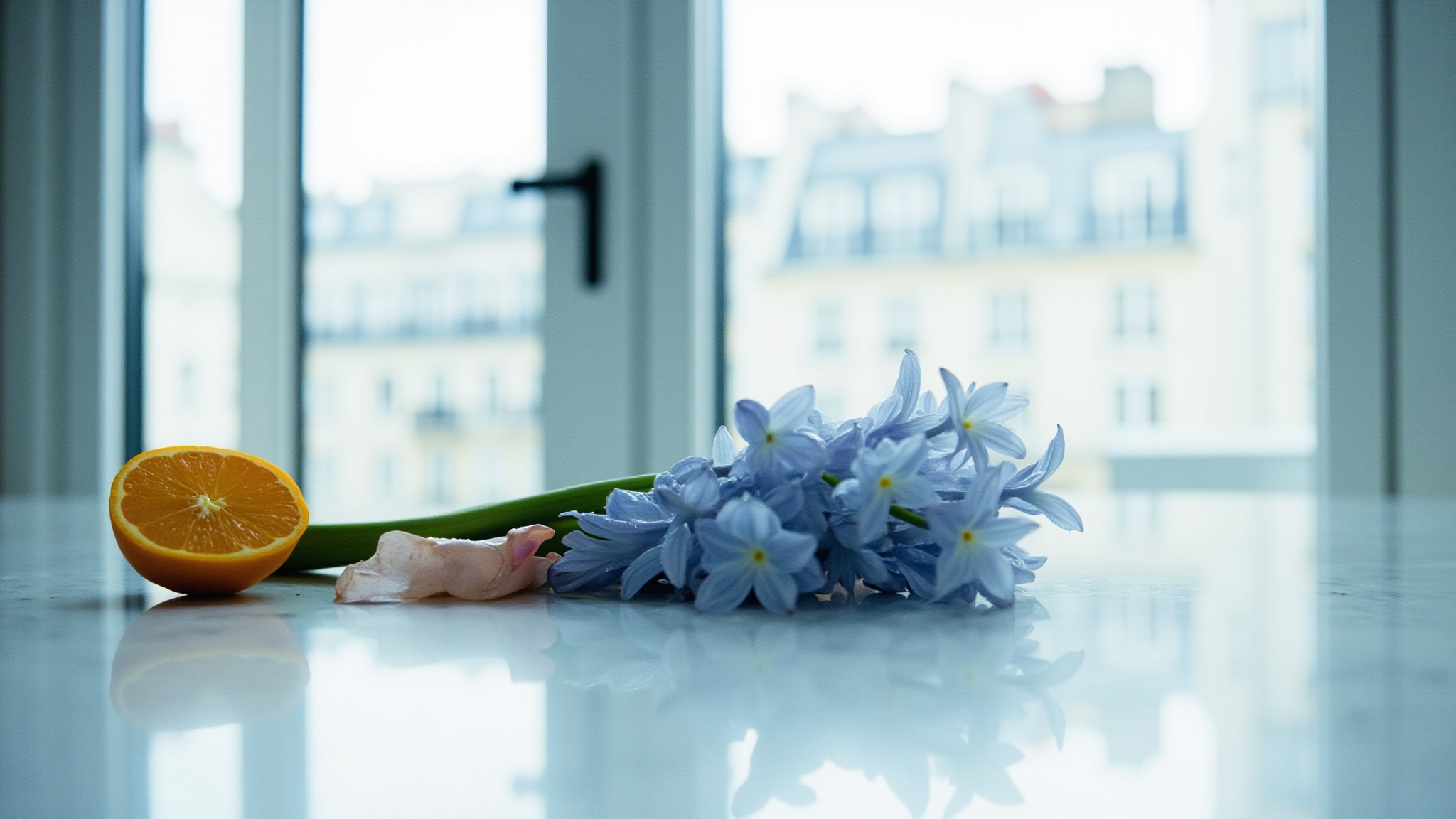 Jacinthe Et Rose by E. Coudray. Atmospheric mood
