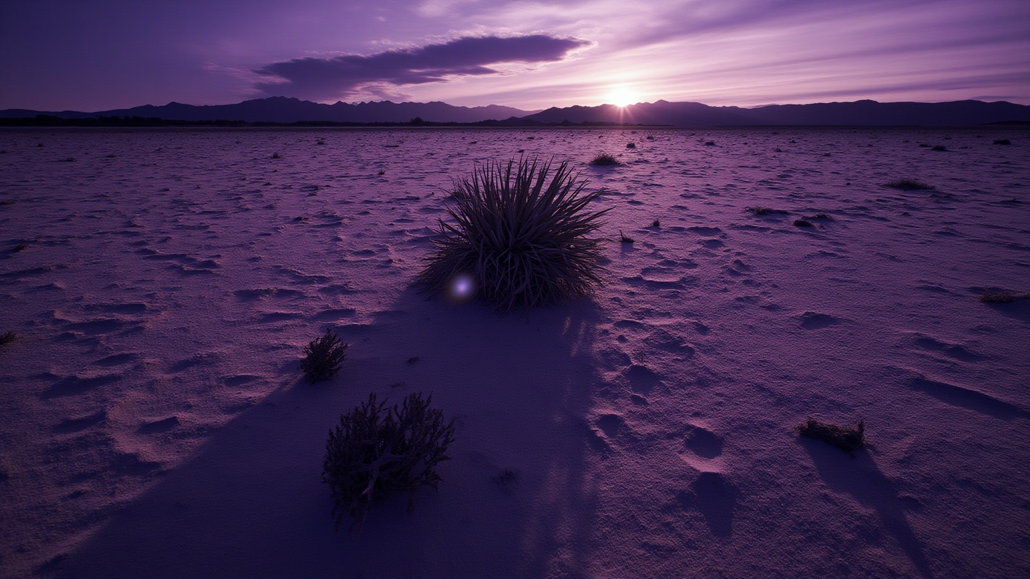 El Cosmico by DS&Durga. Atmospheric mood