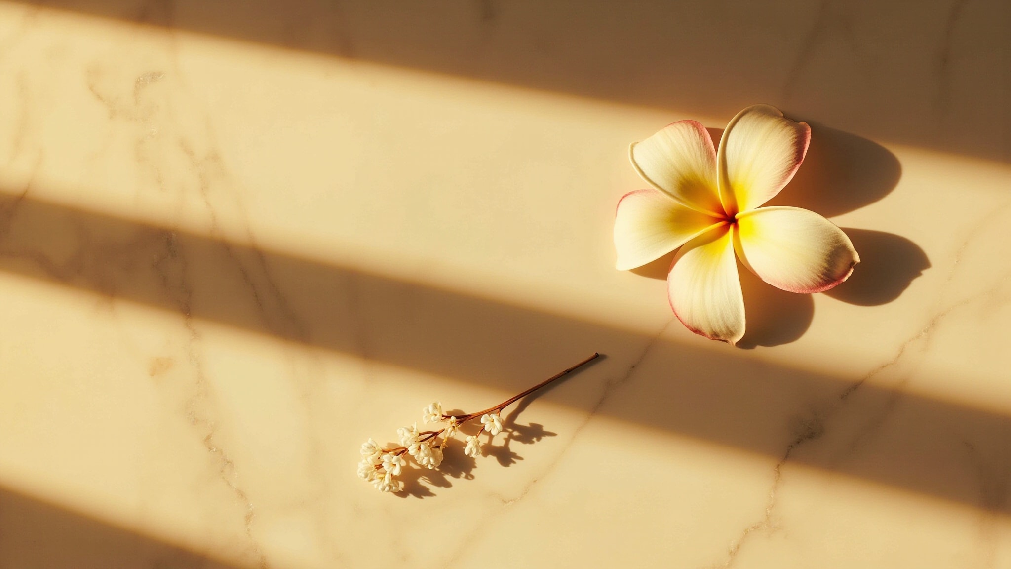 Fleur d’Ambre by EPC Experimental Perfume Club. Atmospheric mood