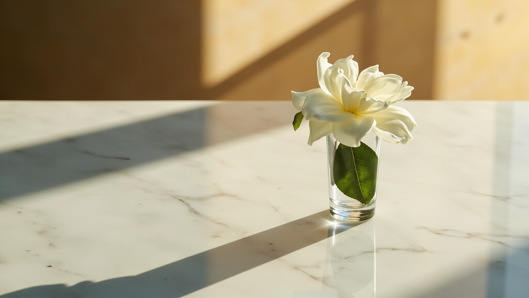 Private Collection Tuberose Gardenia by Estée Lauder. Atmospheric mood