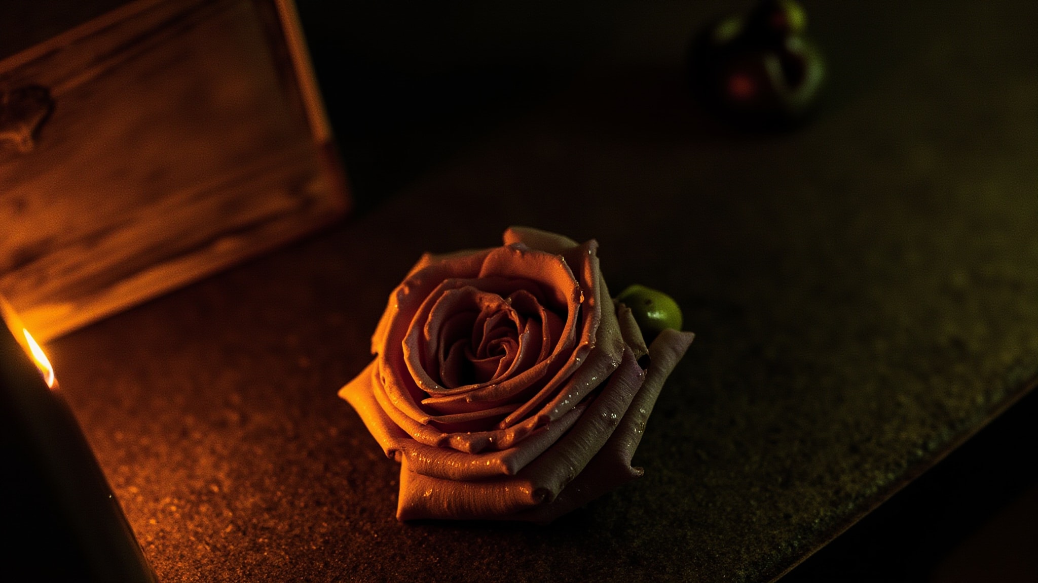 Fleur Humide by J'Elle Bulan Parfums. Atmospheric mood