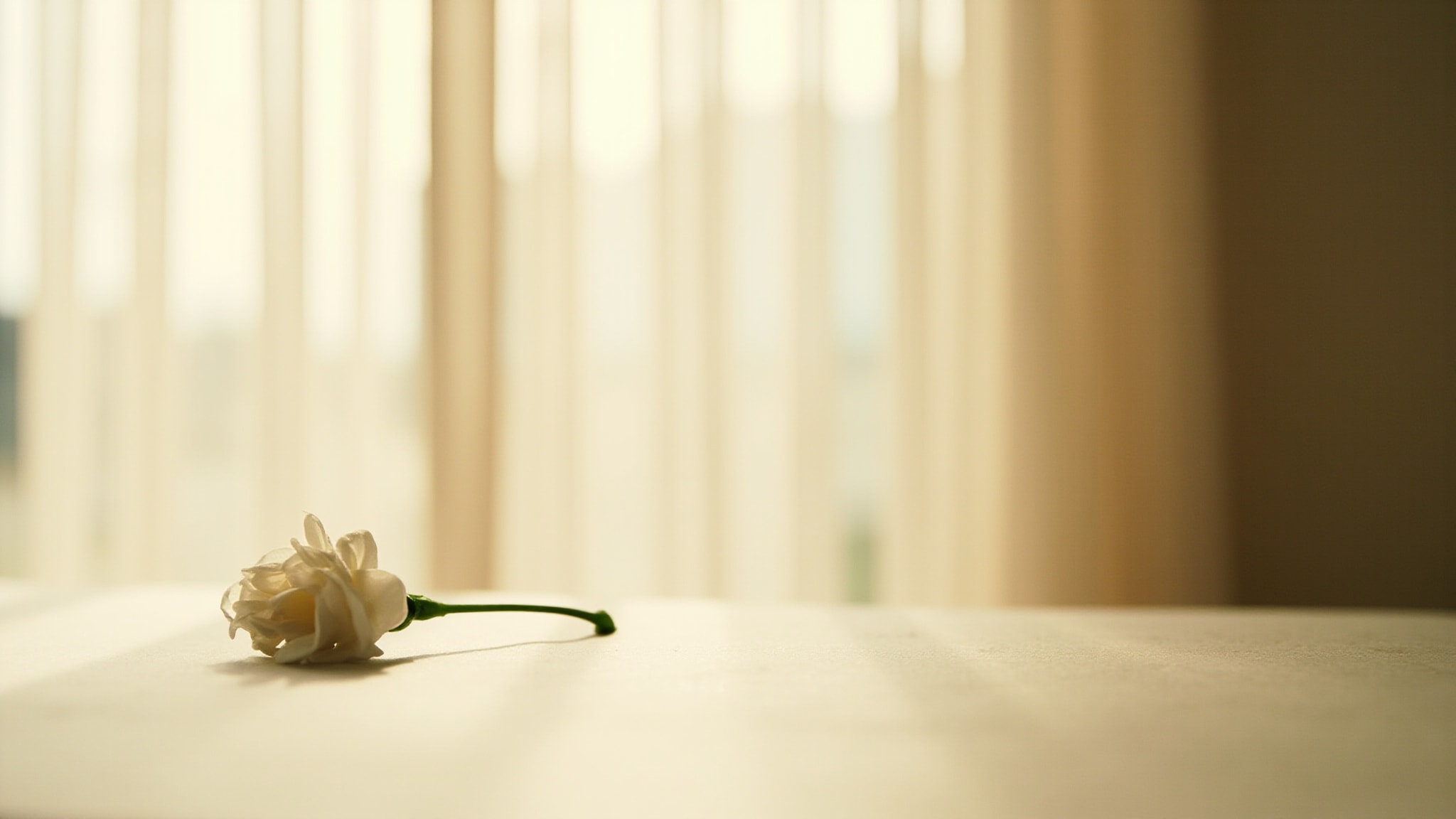 Gardenia by Fleurage. Atmospheric mood