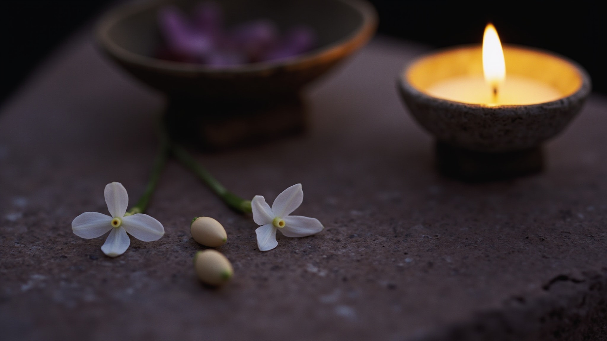 Moonlight Garden by Flower Knows. Atmospheric mood