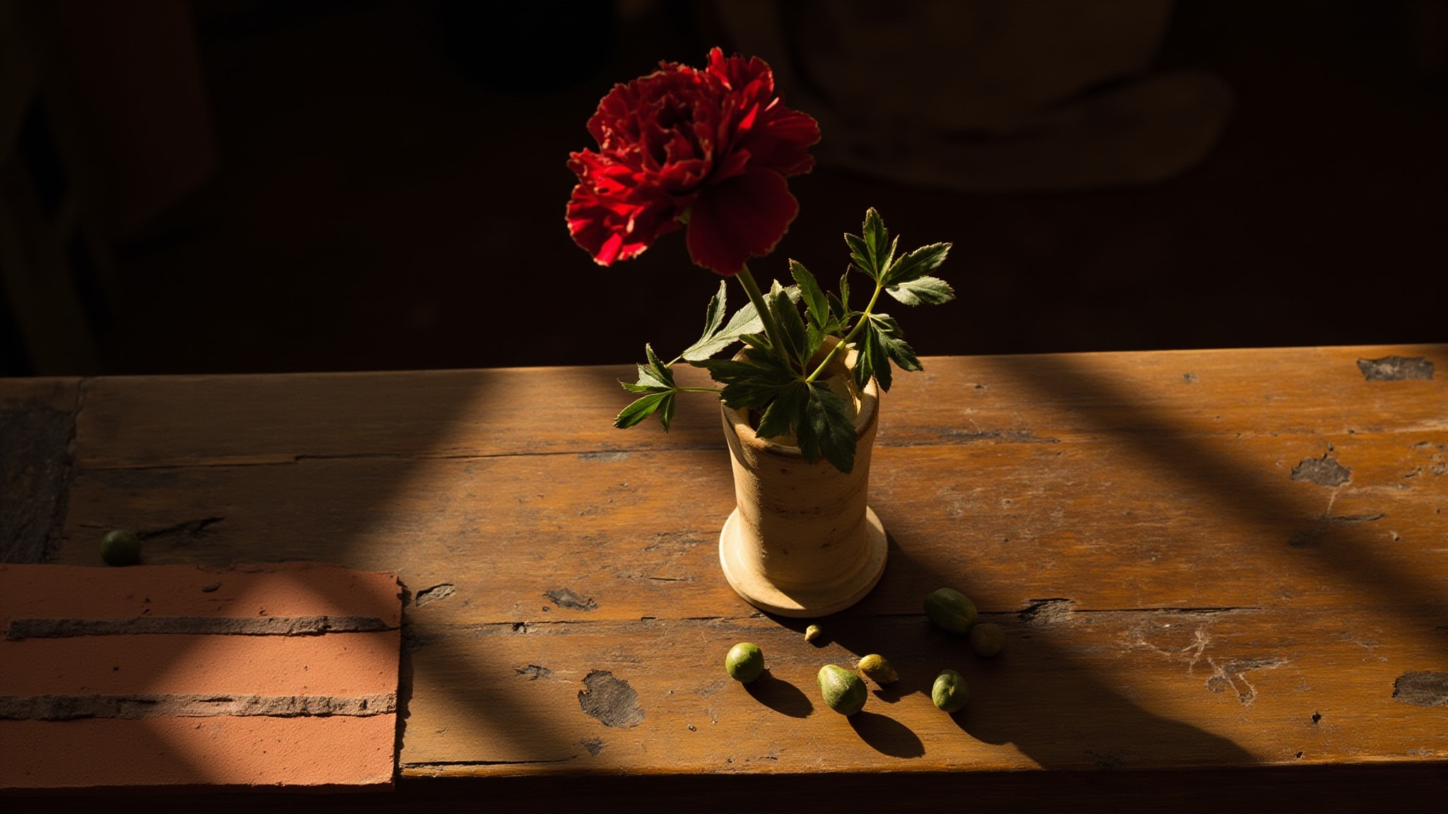 Garofano by Lorenzo Villoresi. Atmospheric mood