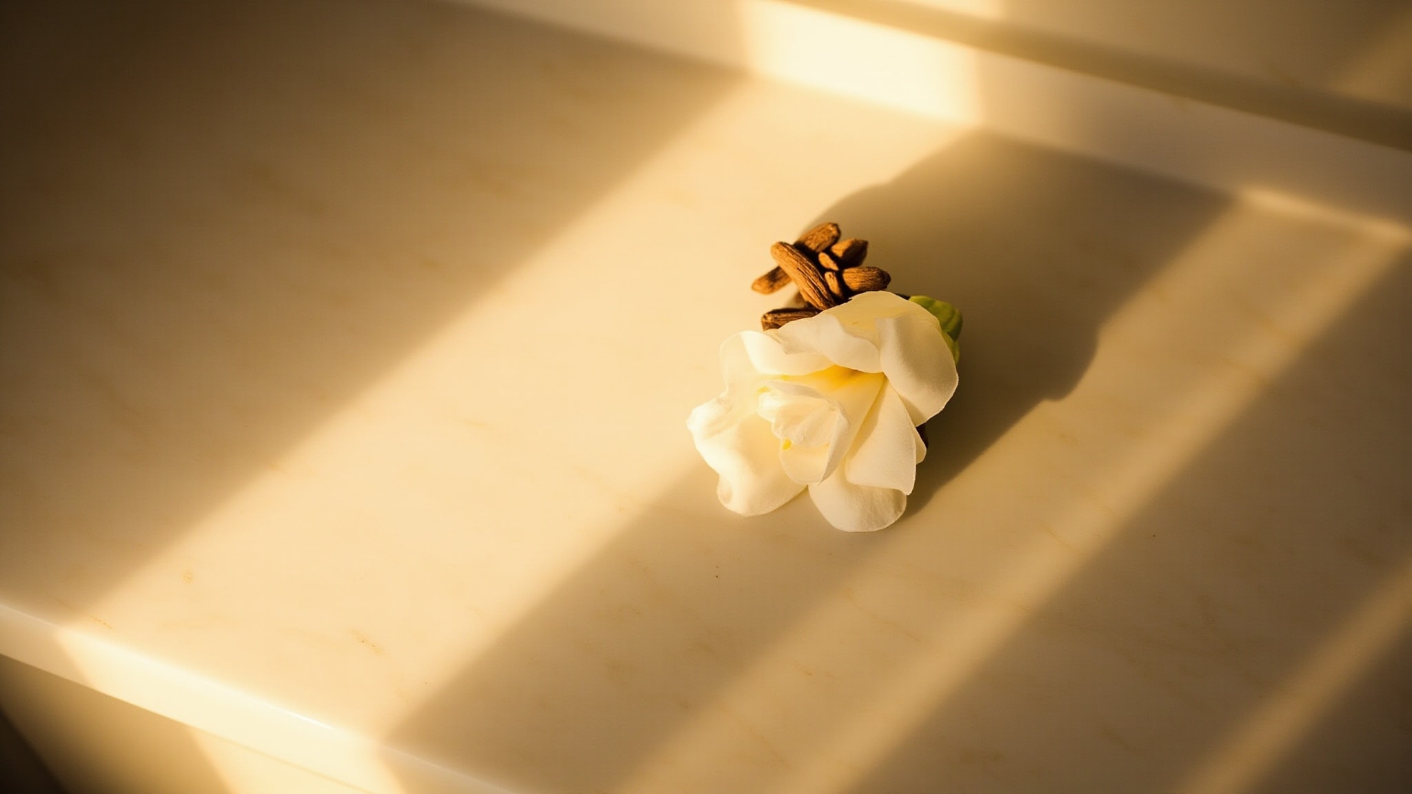 Cotton Flower by Giardino Benessere. Atmospheric mood