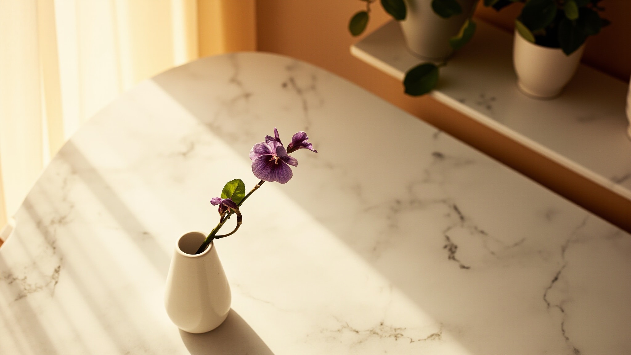 Hera by Giardino Benessere. Atmospheric mood