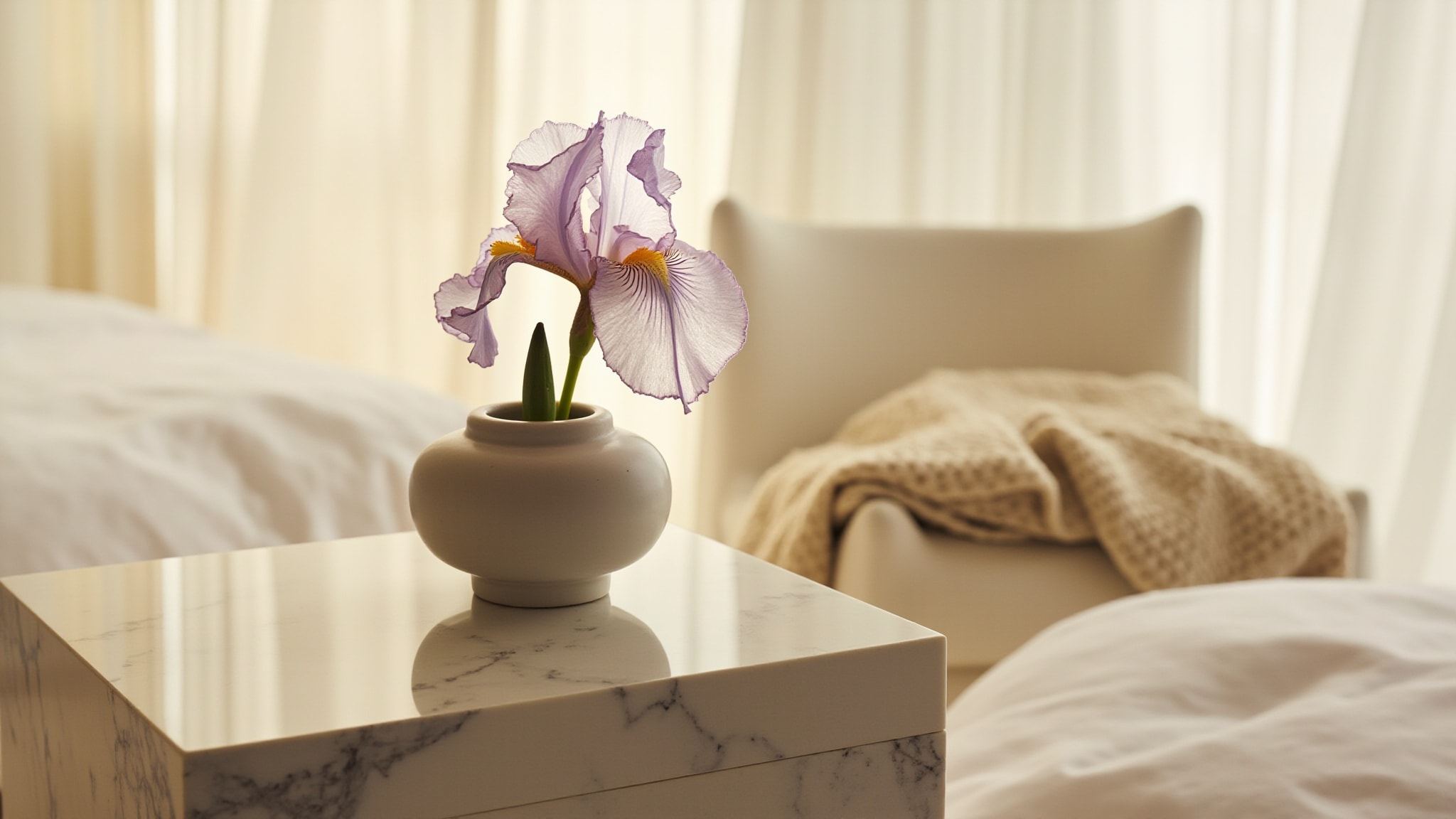 Iris by Gisada. Atmospheric mood