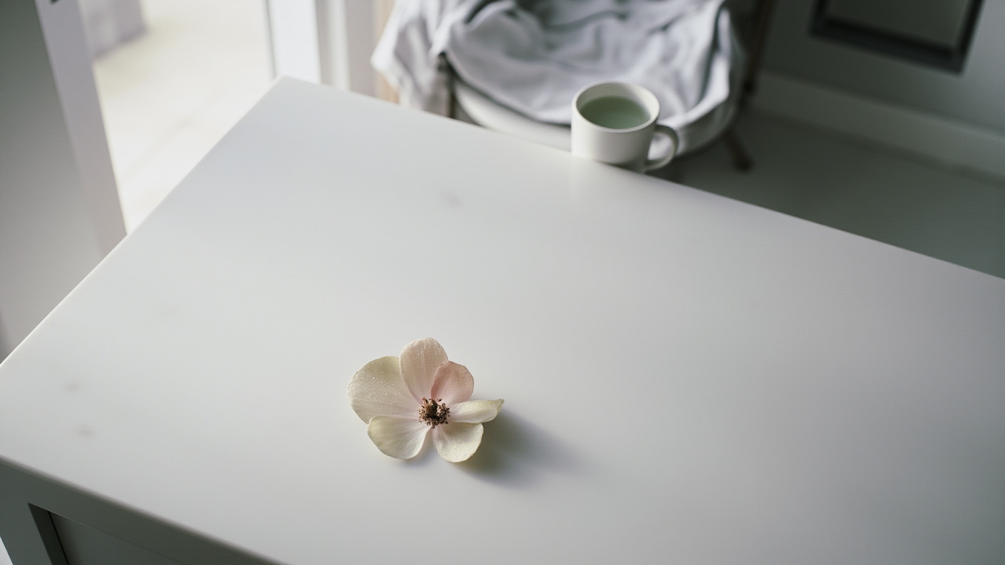 Magnolia by H&M. Atmospheric mood