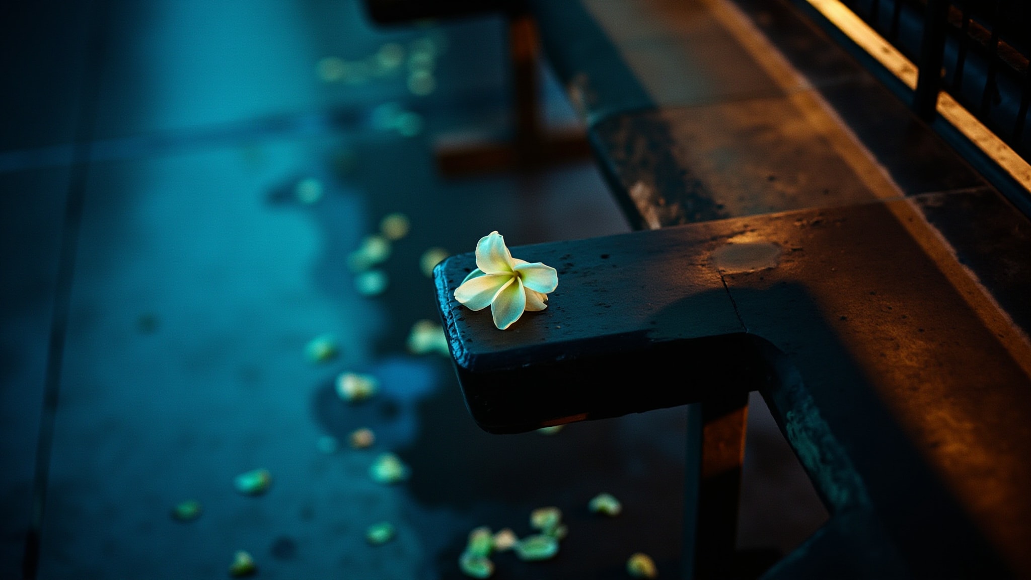 Hanami by Ayala Moriel. Atmospheric mood
