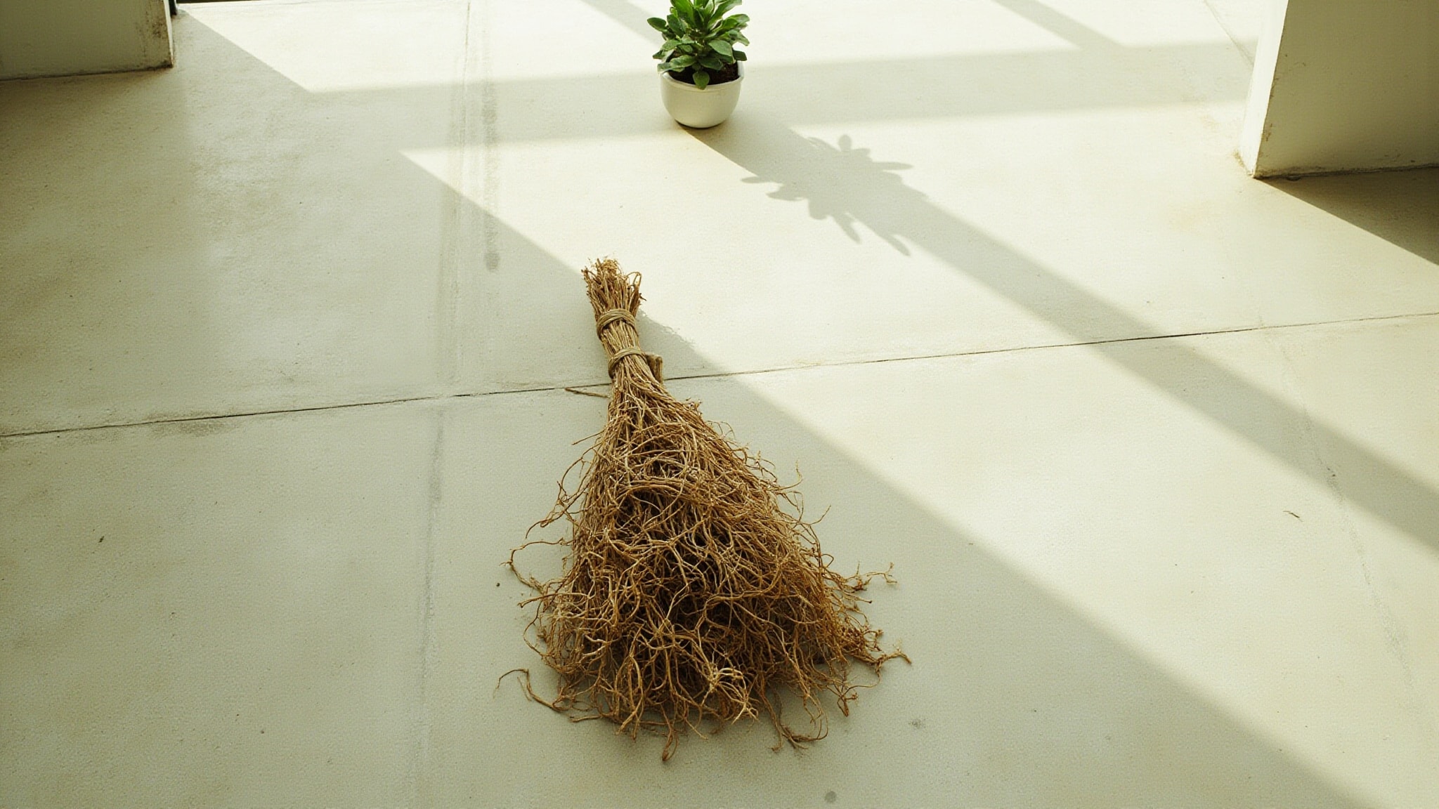Vetiver Veritas by HEELEY. Atmospheric mood