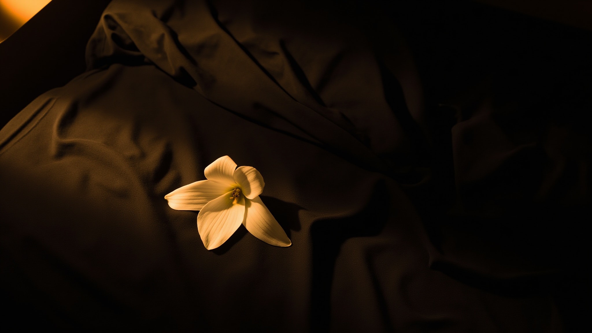 Baby Vamp by Immortal Perfumes. Atmospheric mood