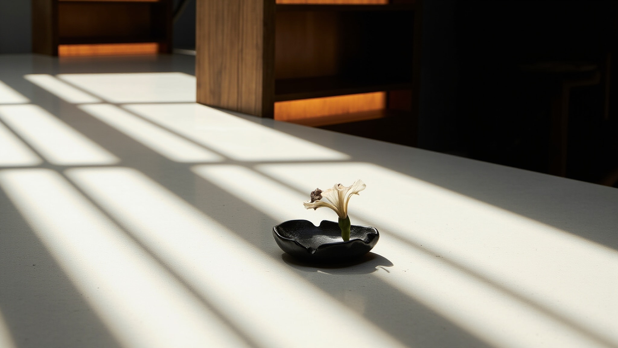 Infusion d'Iris (2015) by Prada. Atmospheric mood