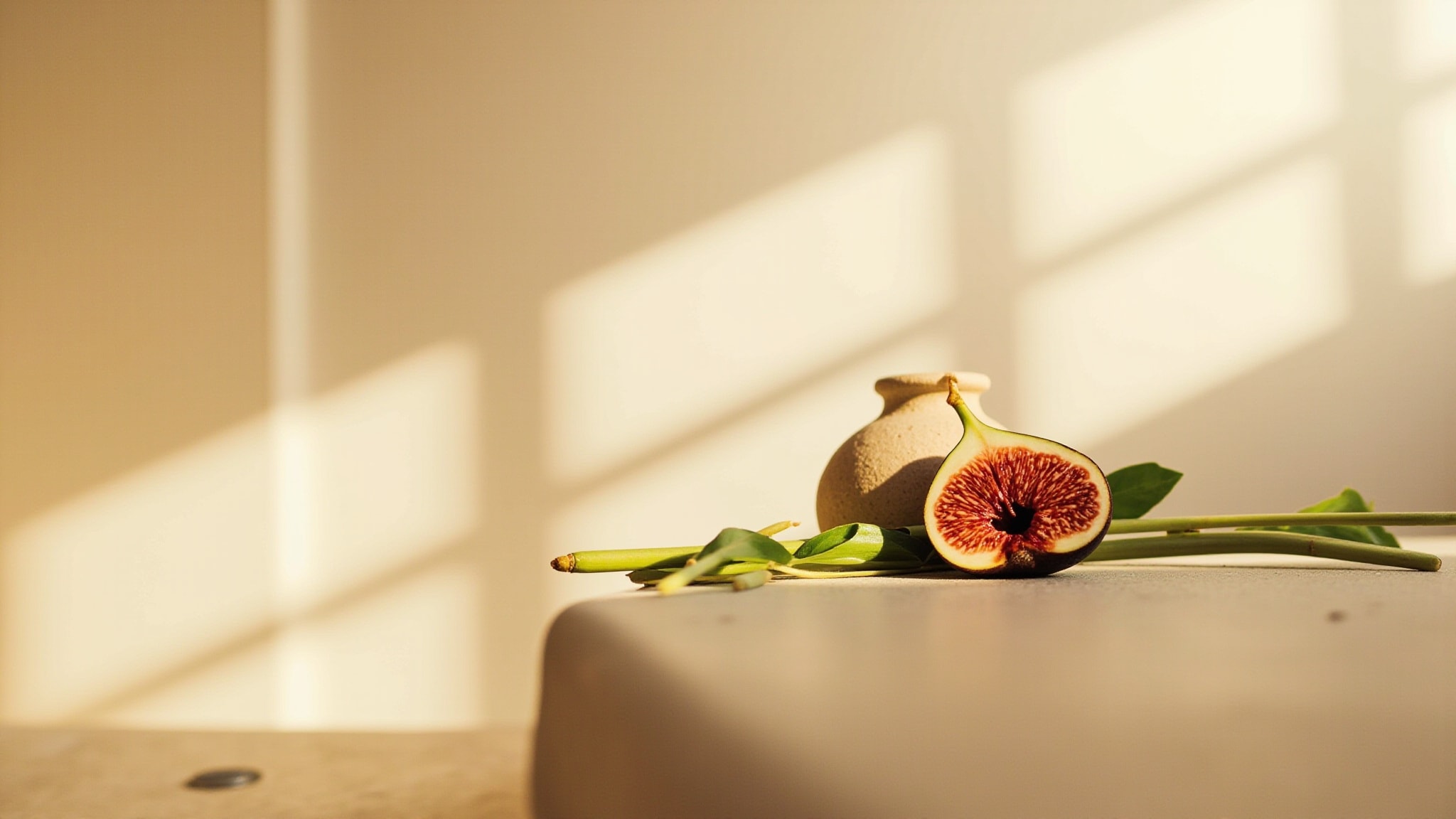Buddha’s Fig by Infusion Organique. Atmospheric mood