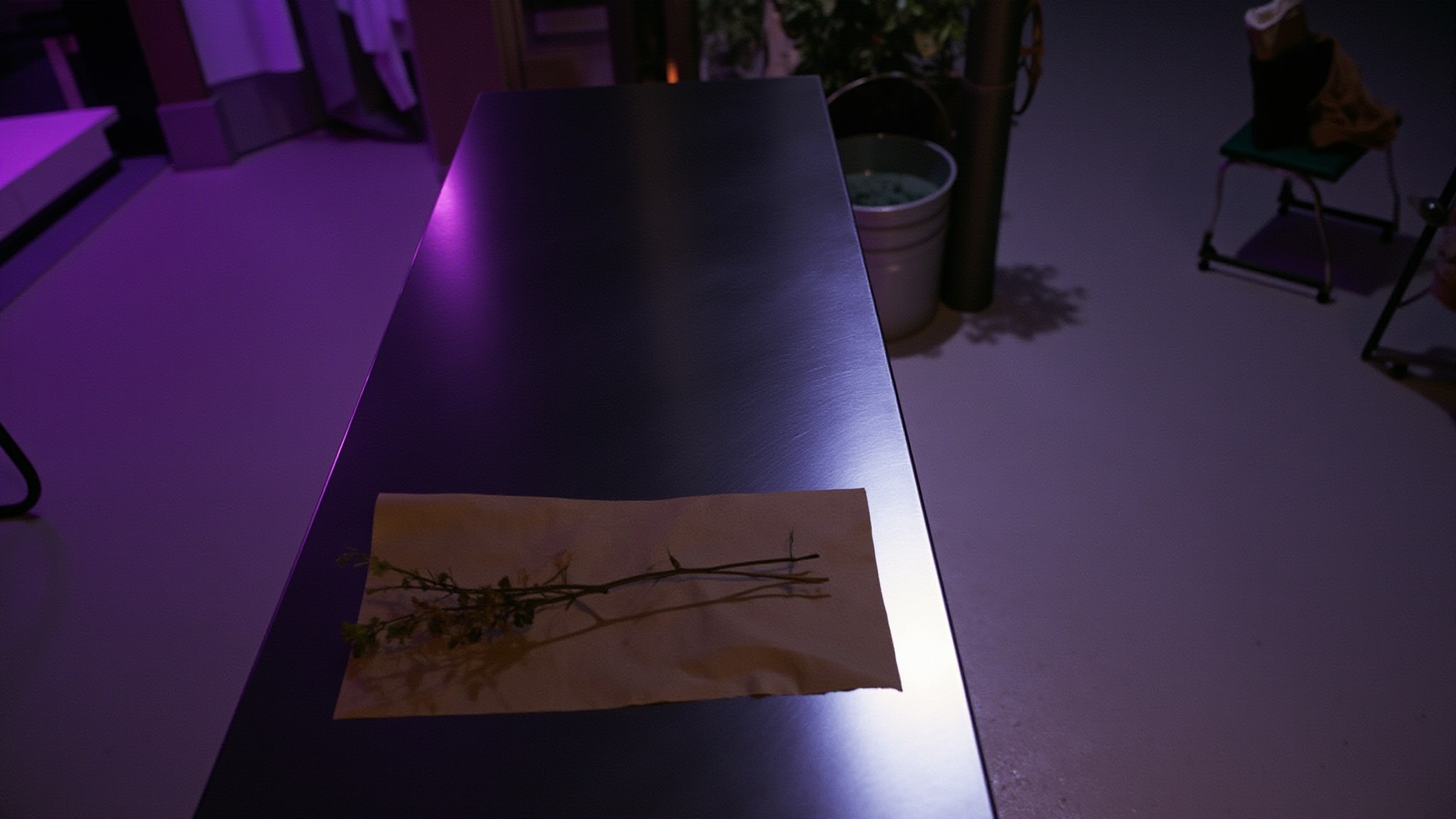 Fleuriste by JAN BARBA. Atmospheric mood