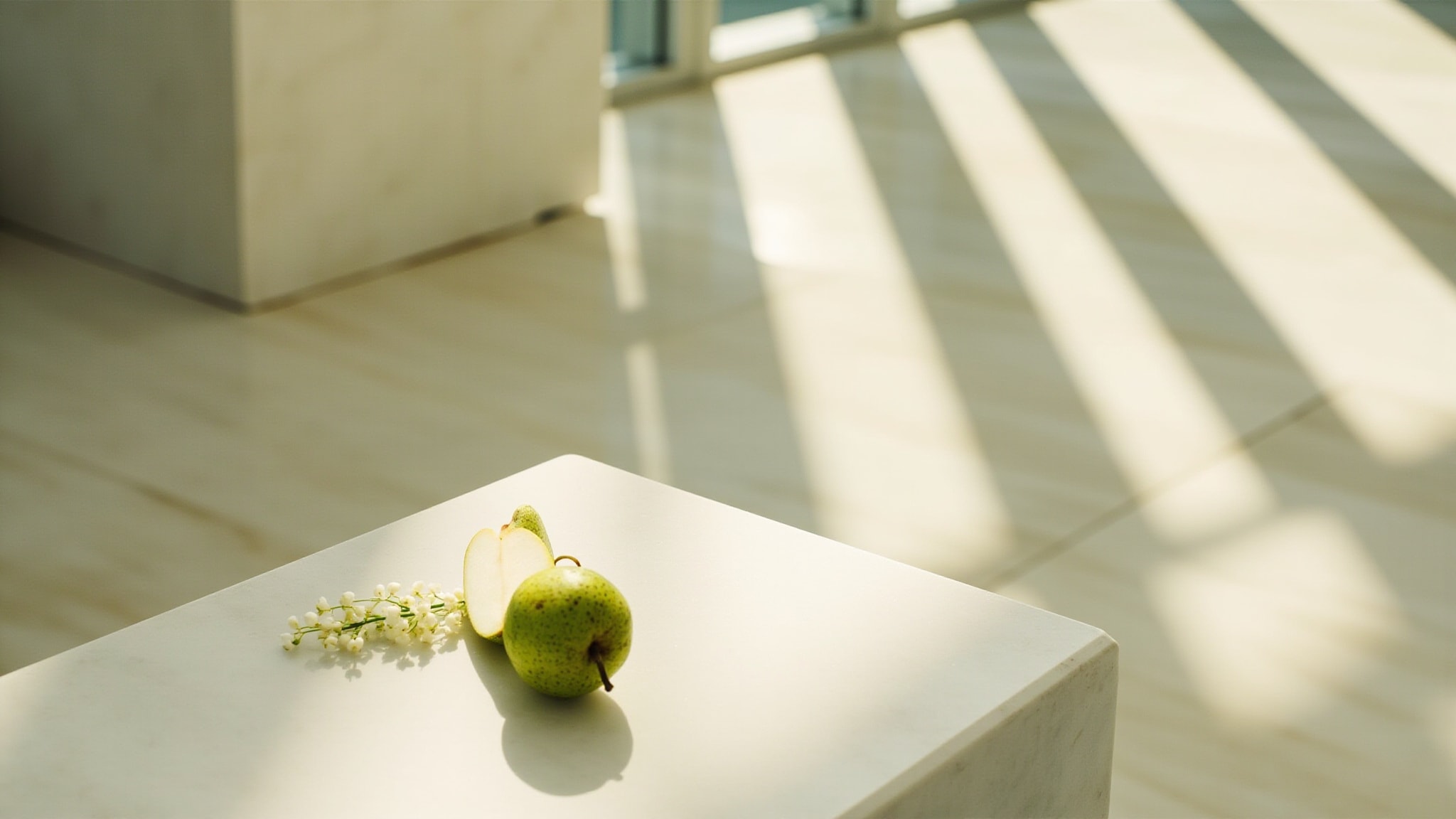 Evergreen by Jil Sander. Atmospheric mood