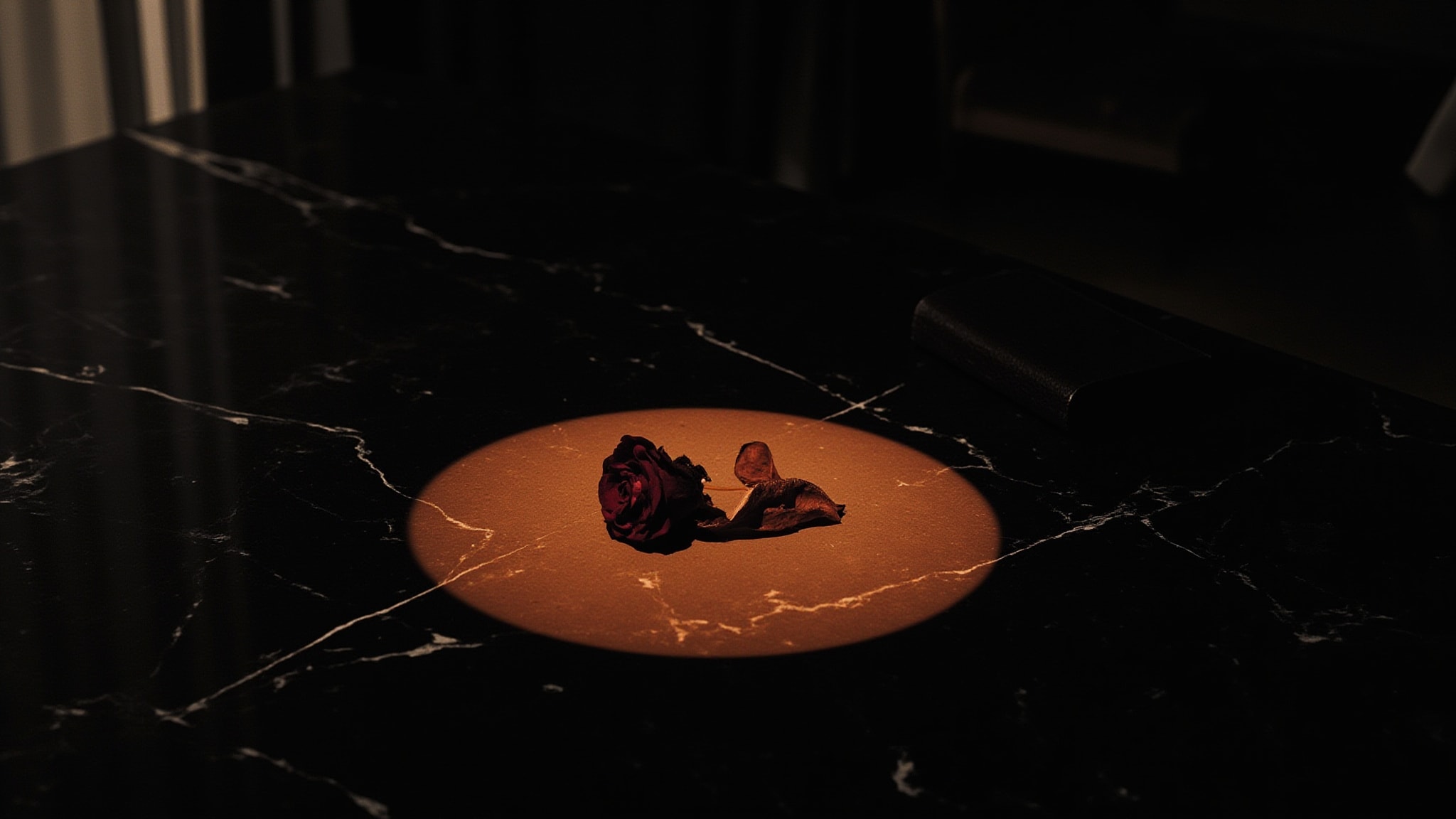 Rose Noir by Jinkoh Store. Atmospheric mood