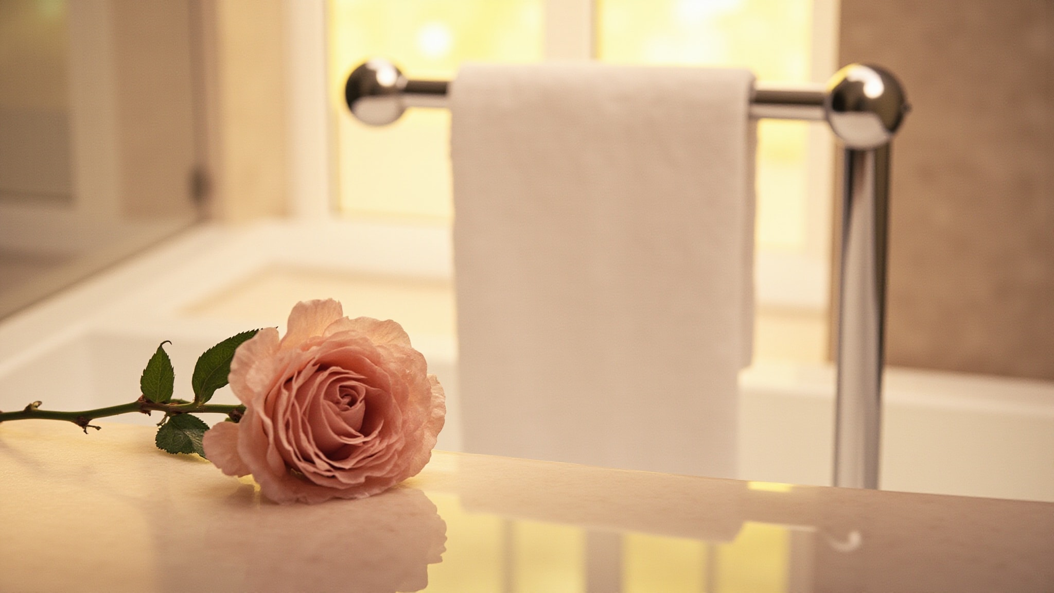Rose & White Musk Absolu by Jo Malone London. Atmospheric mood
