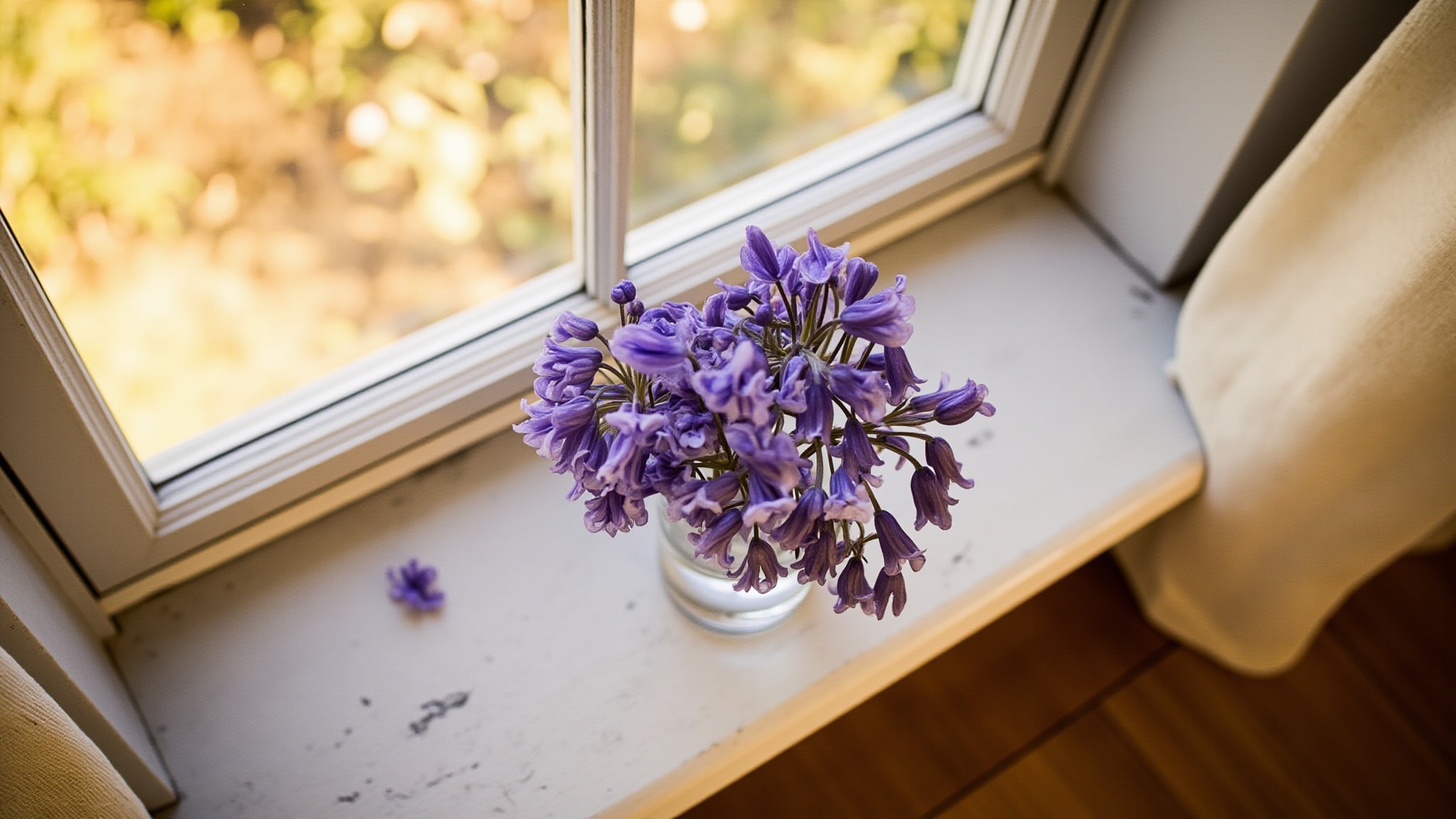 Wild Bluebell by Jo Malone London. Atmospheric mood