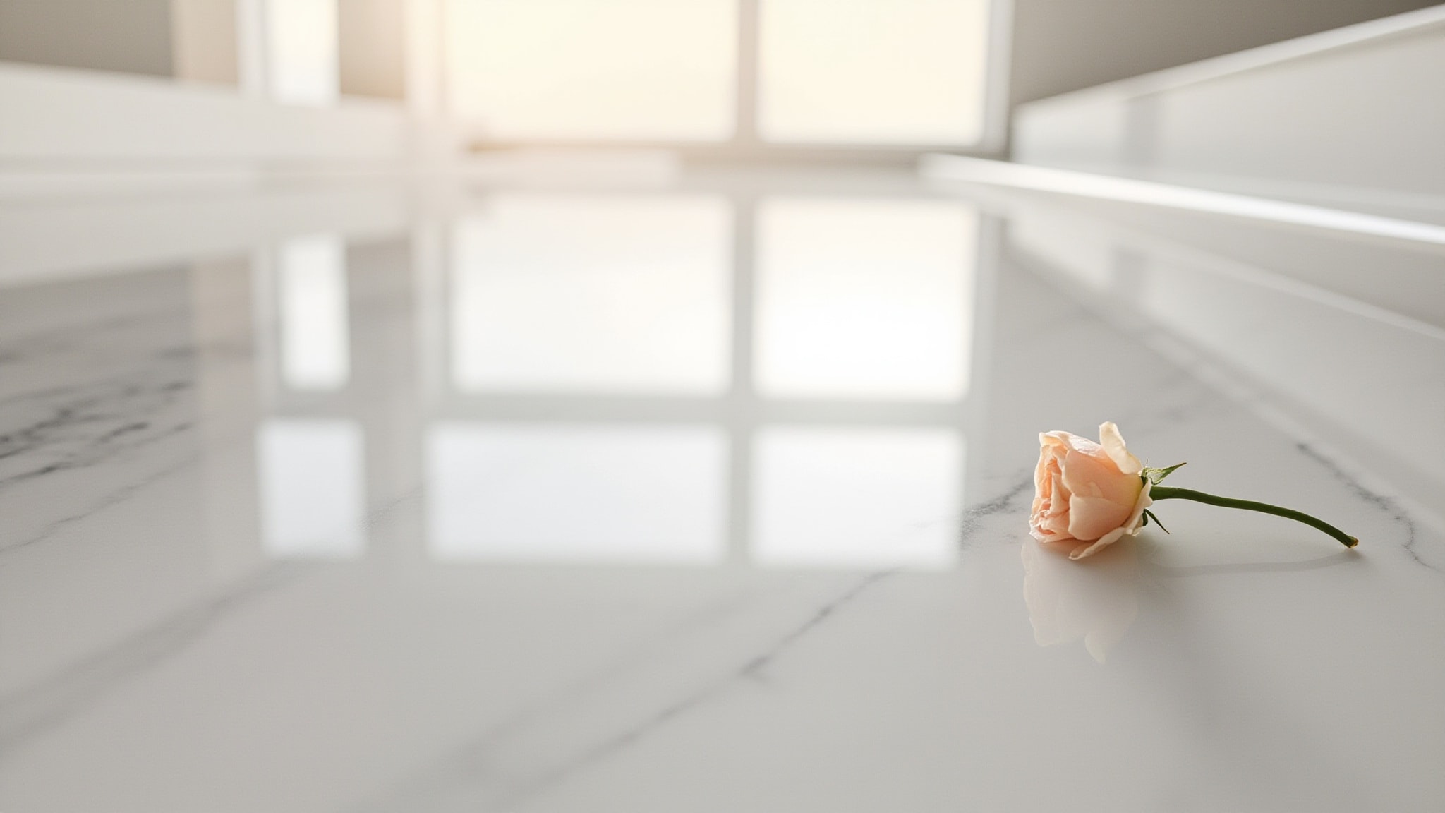 Rose by Kai. Atmospheric mood