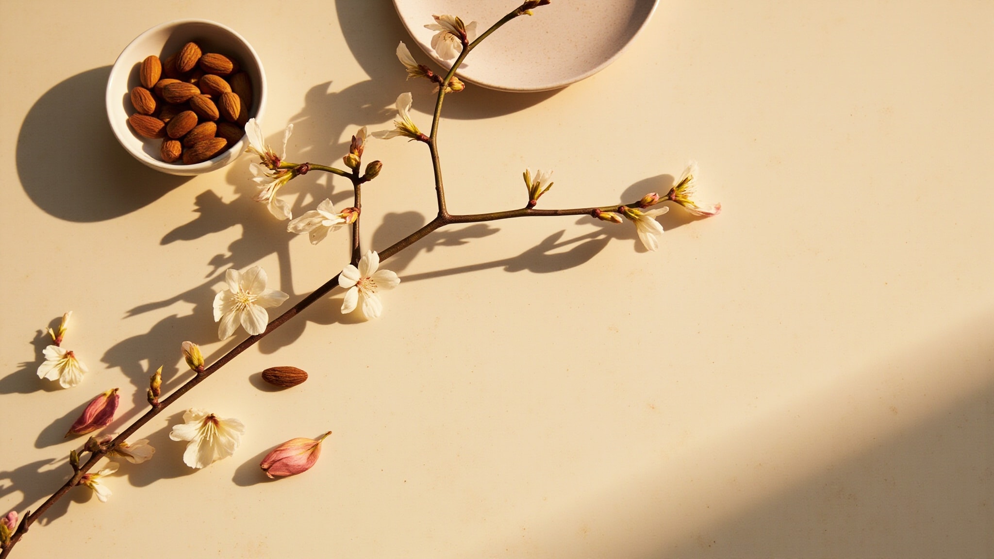 Fleurs de Brignoles (Plum Blossom) by L'Occitane en Provence. Atmospheric mood