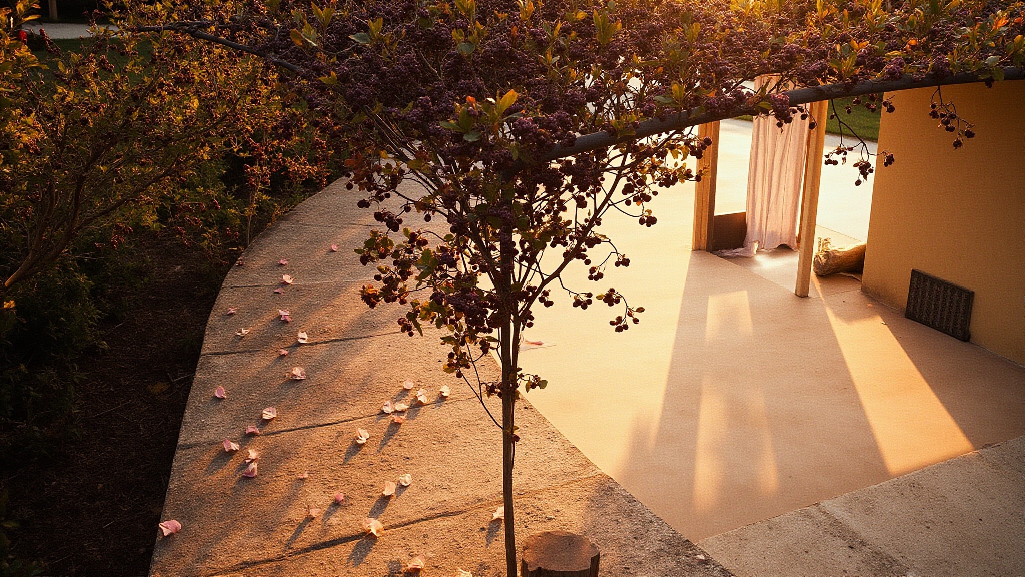 Magnolia & Mure by L'Occitane en Provence. Atmospheric mood