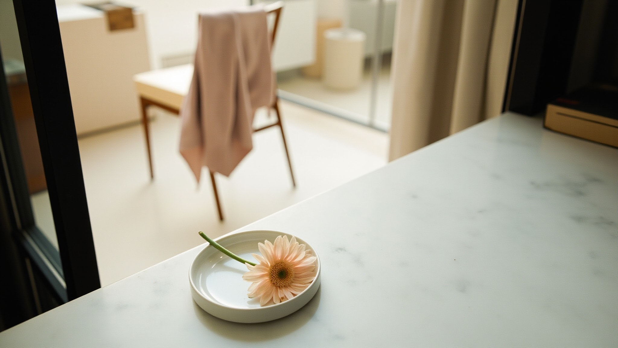 Gerbera by L.T. Piver. Atmospheric mood