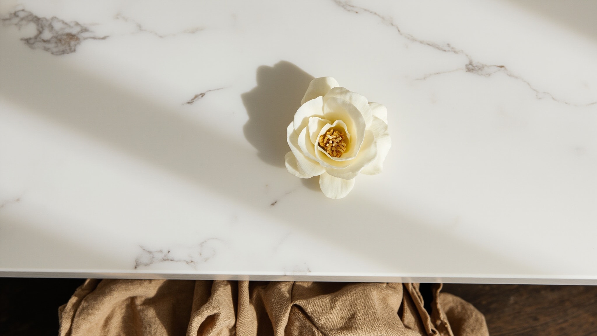 Lacoste Pour Femme Timeless by Lacoste Fragrances. Atmospheric mood