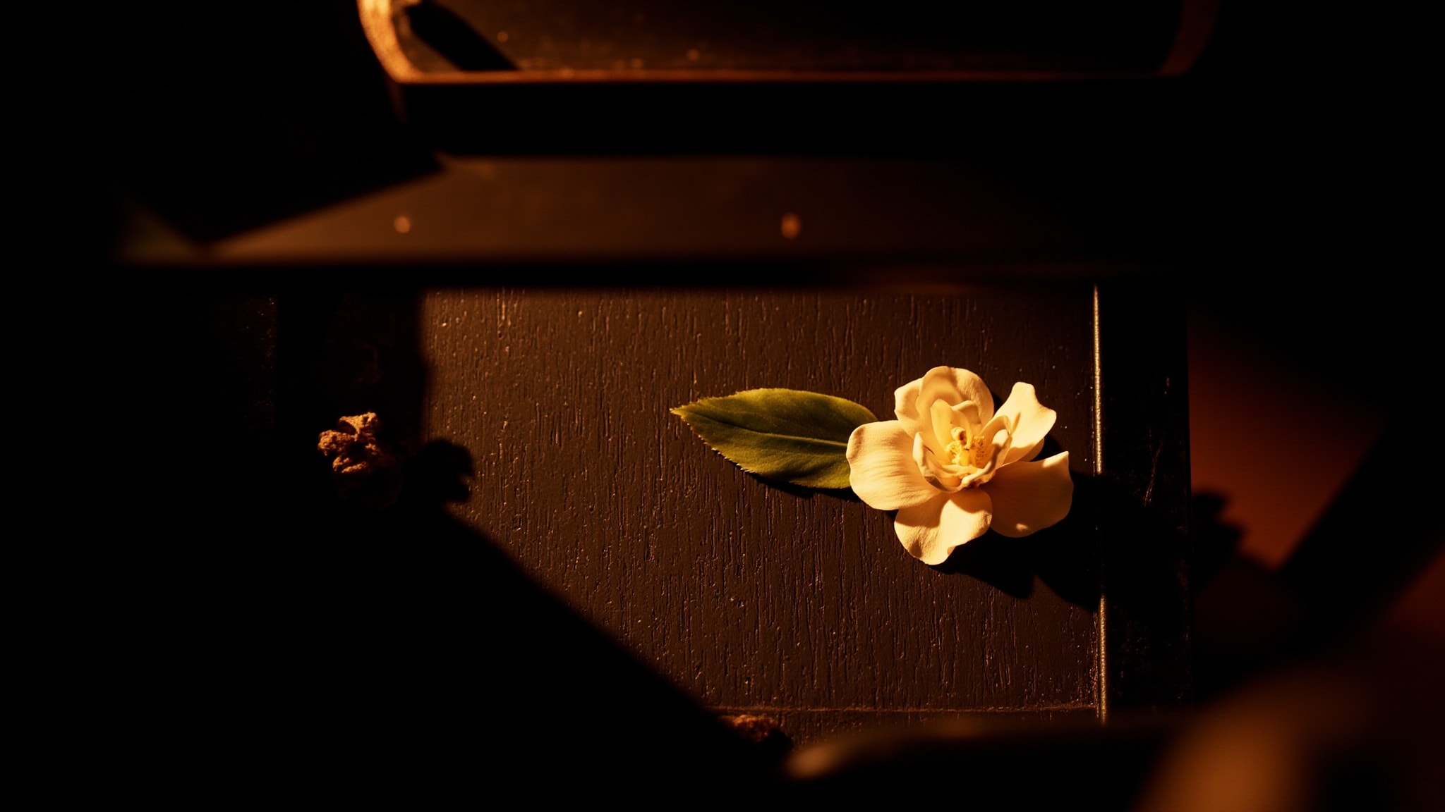 Lady Day by Maria Candida Gentile. Atmospheric mood