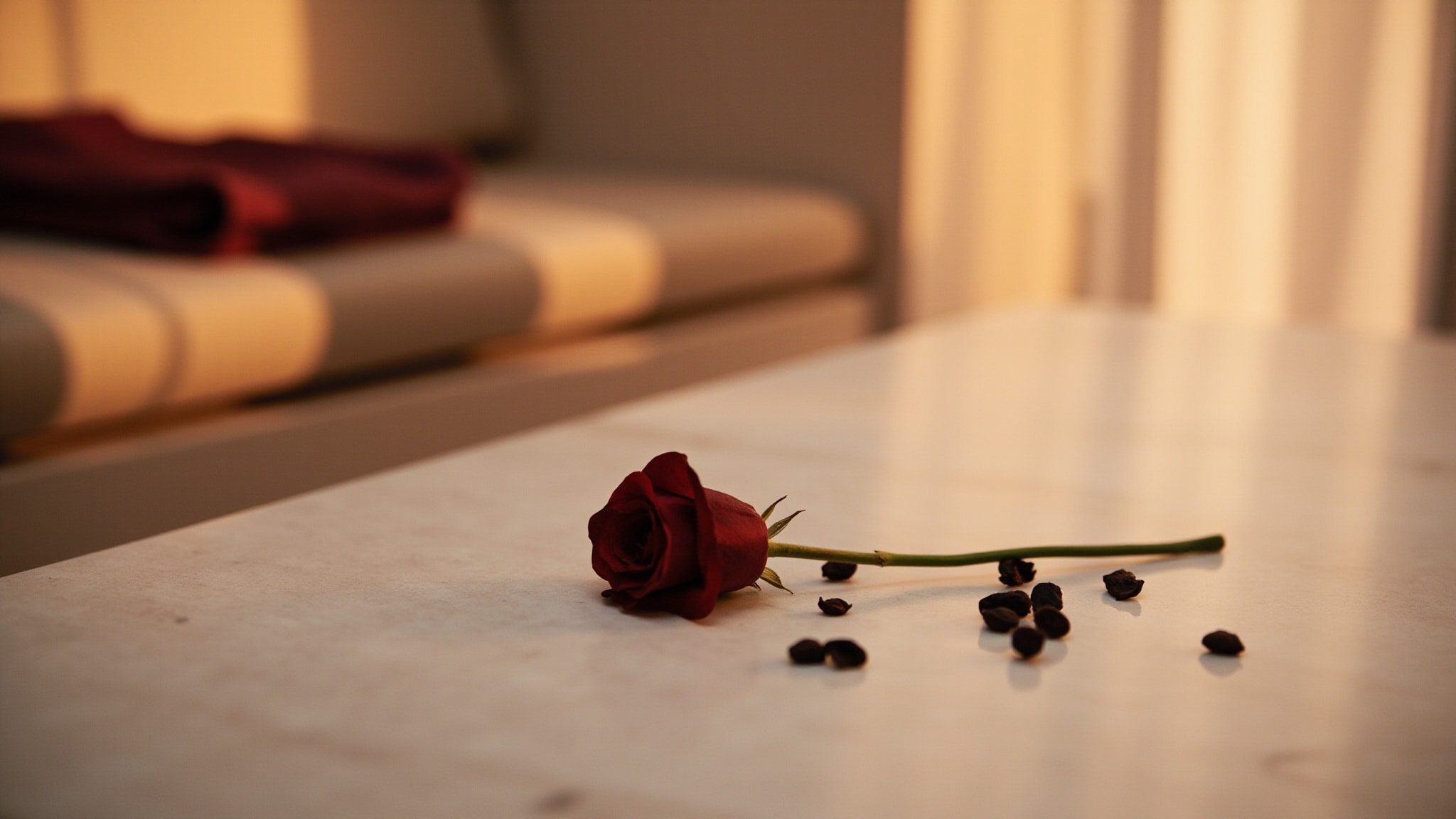 Lelas Zain Oud by LELAS. Atmospheric mood