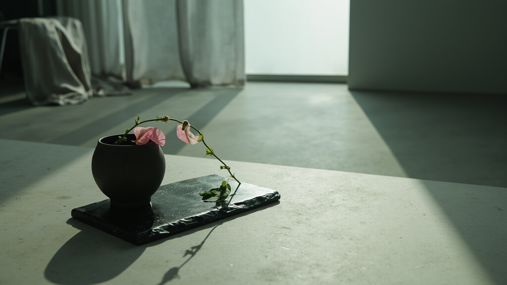 Sweet Pea by Lvnea. Atmospheric mood