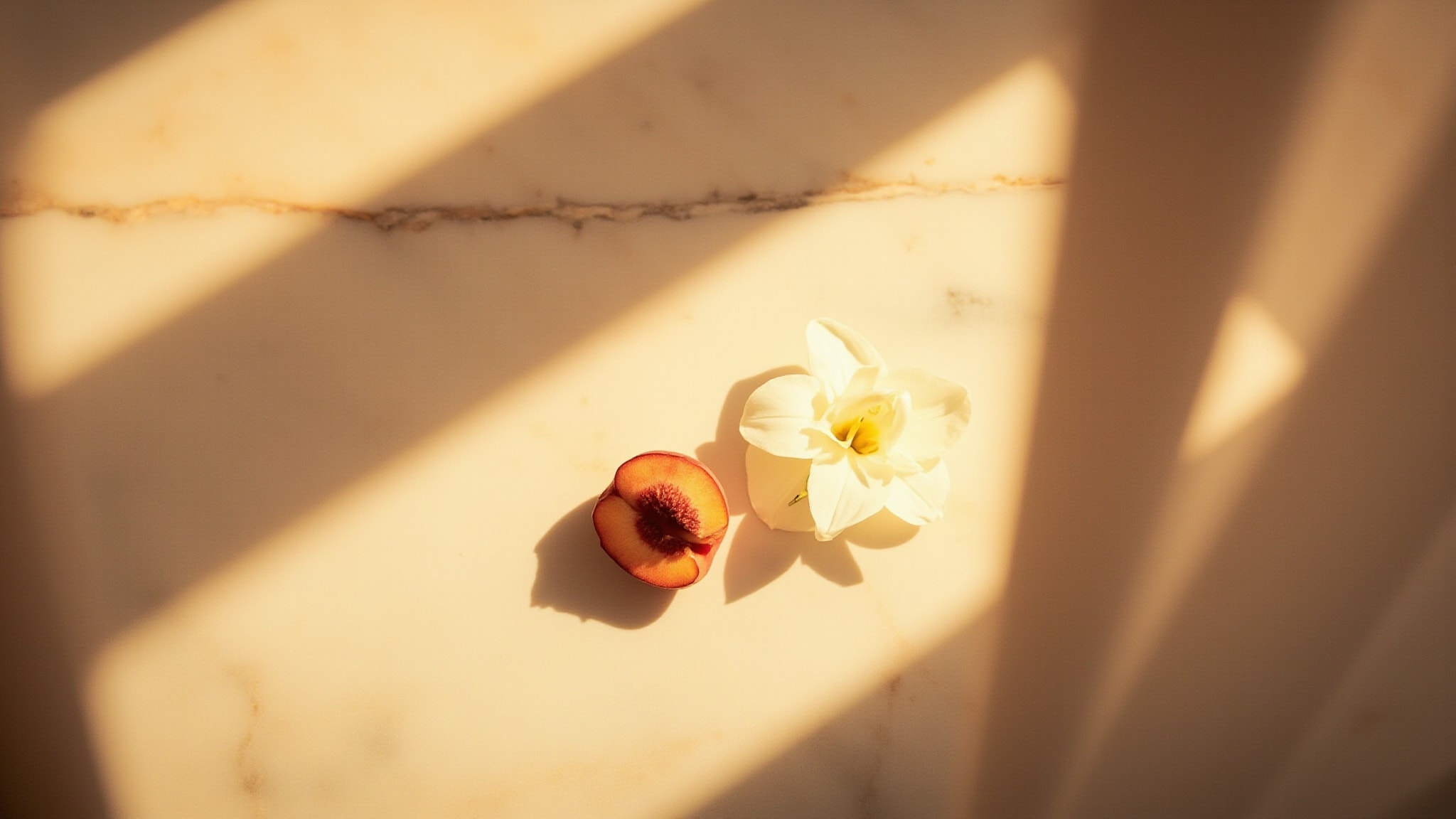 Victoria Flower Orchid by Maison Alhambra. Atmospheric mood