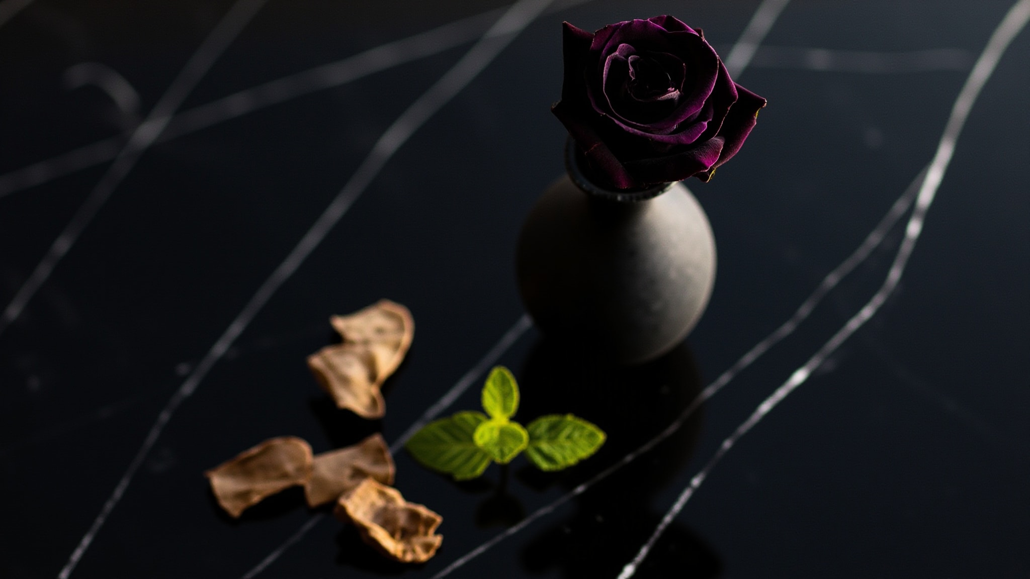 Black by MAISON ASRAR. Atmospheric mood