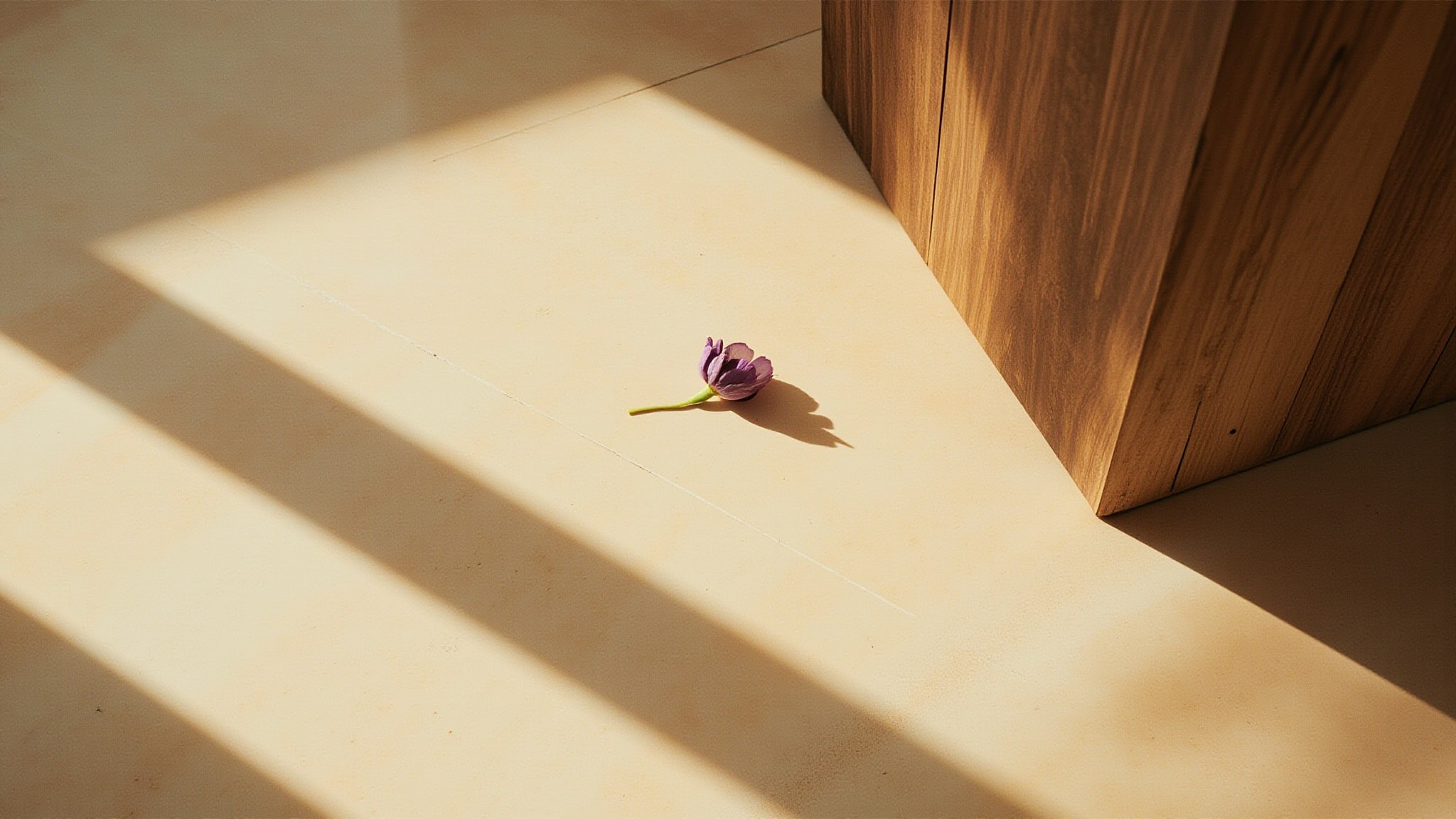 Violette Rebelle by Maison de Parfum Berry. Atmospheric mood