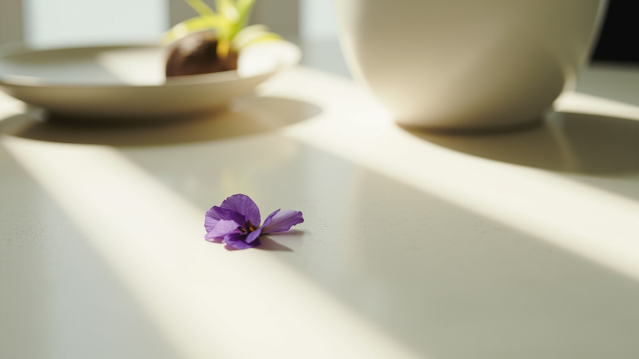 Fleur d’Iris by Maitre Parfumeur et Gantier. Atmospheric mood