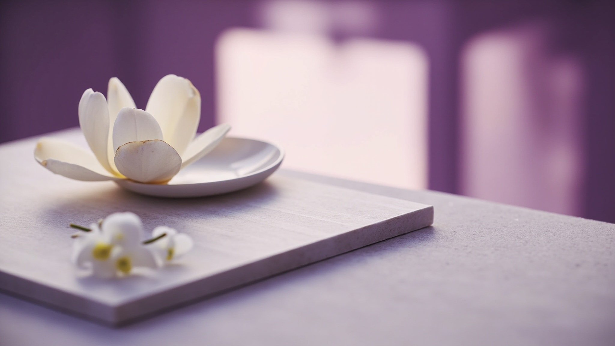 Magnolia Pourpre by Maitre Parfumeur et Gantier. Atmospheric mood
