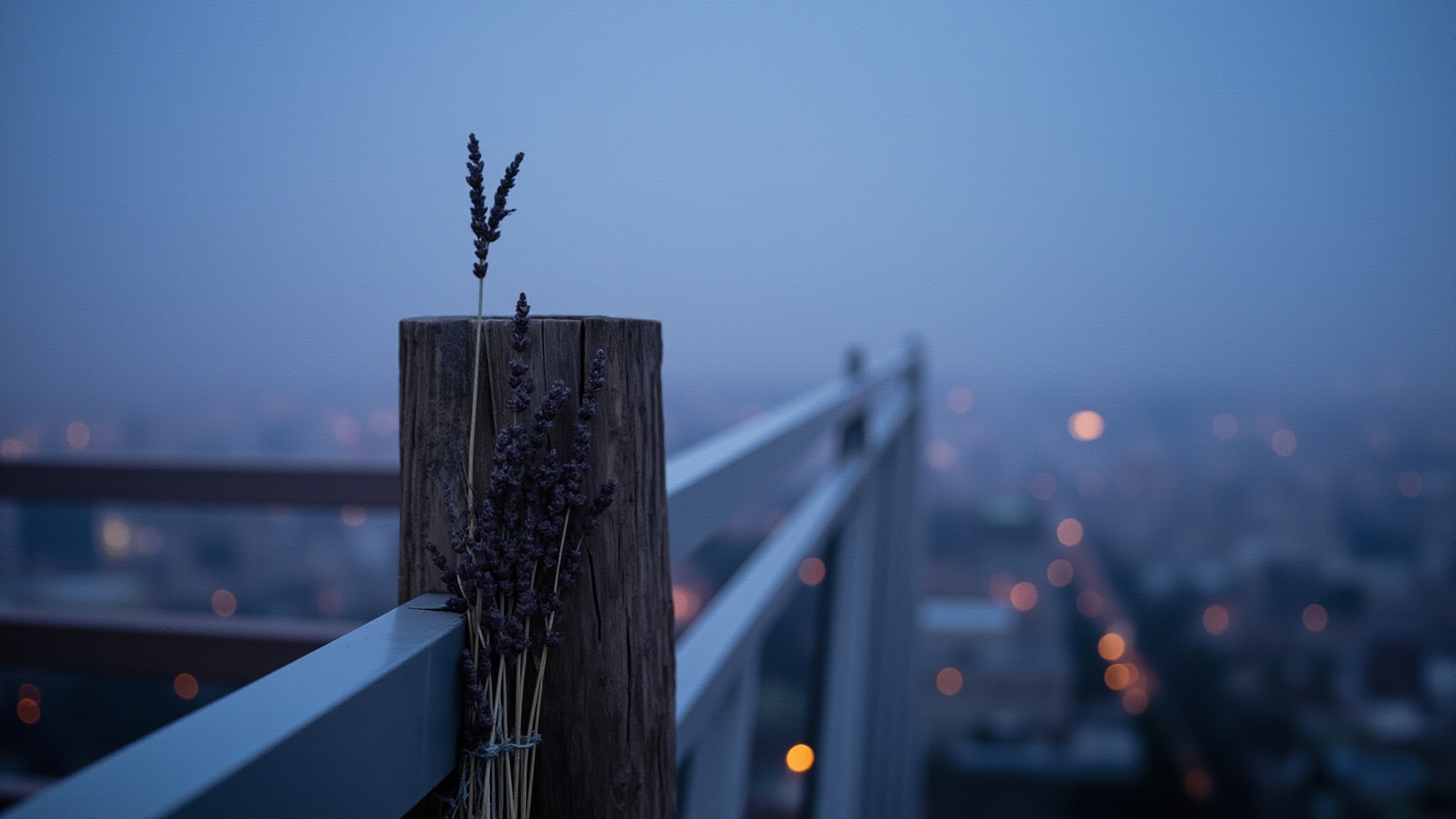 Night Raven by Max Philip. Atmospheric mood