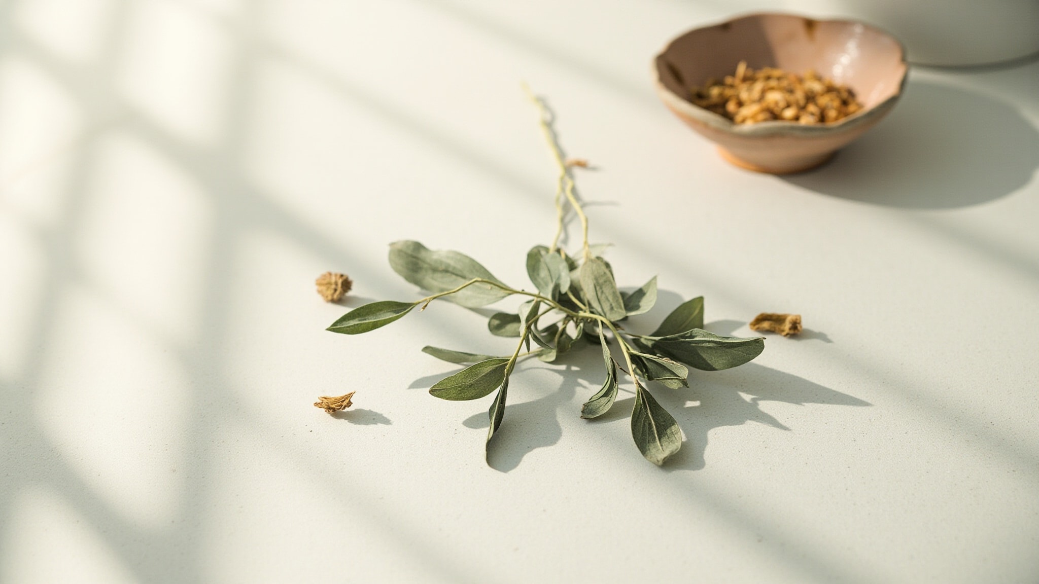 Thé Sage by MAYME?. Atmospheric mood
