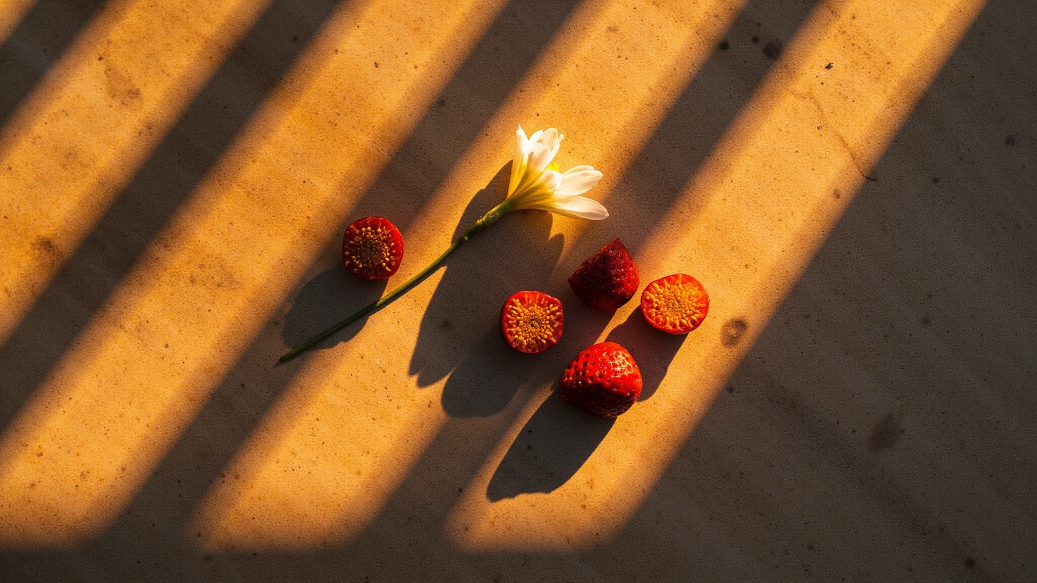 Berry Blanche by Michael Malul. Atmospheric mood