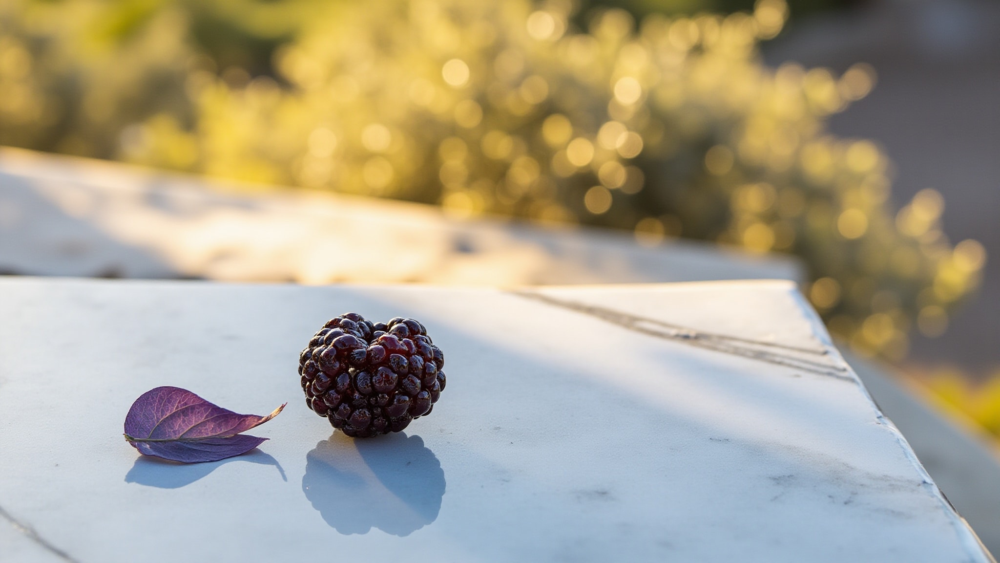 Wild Blackberry by Mistral. Atmospheric mood