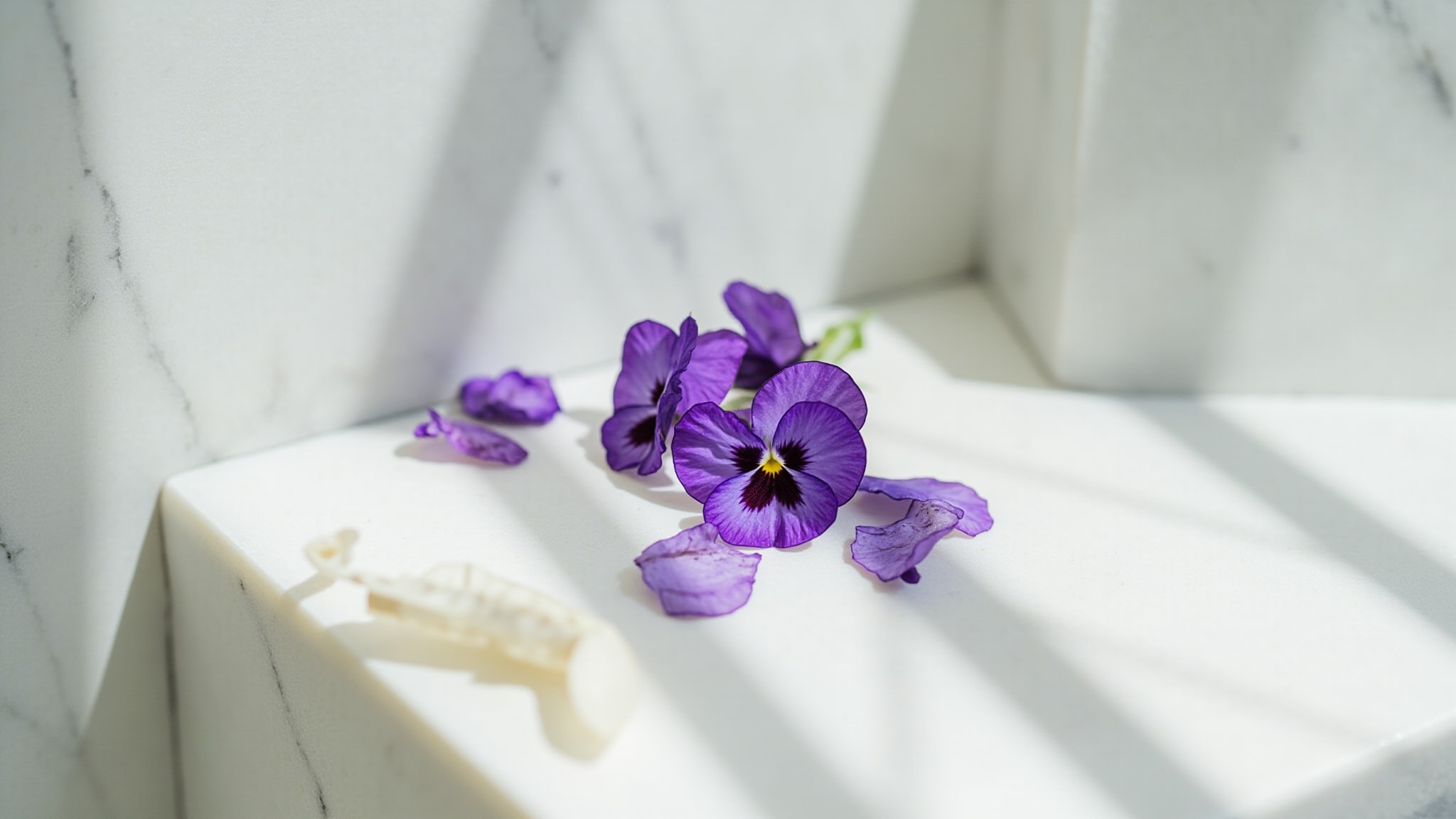 Violette by Molinard. Atmospheric mood