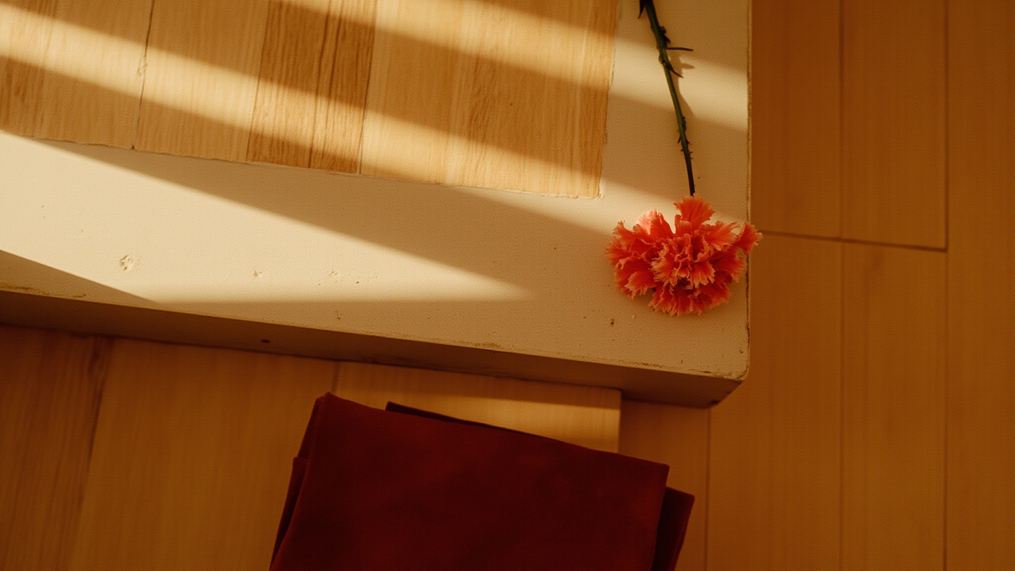 Carnation by Mona di Orio. Atmospheric mood