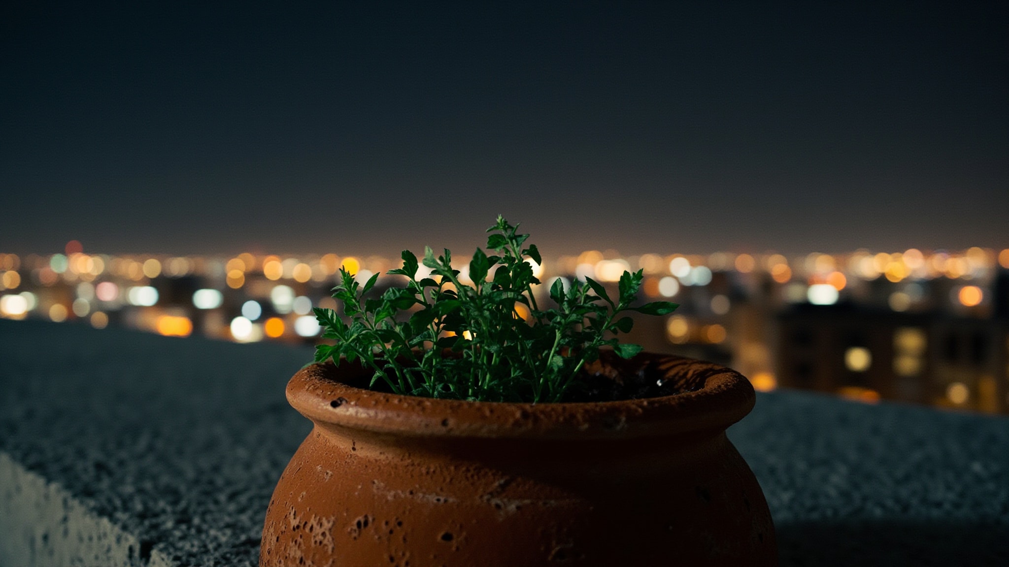 #Urbano Noturno by Natura. Atmospheric mood