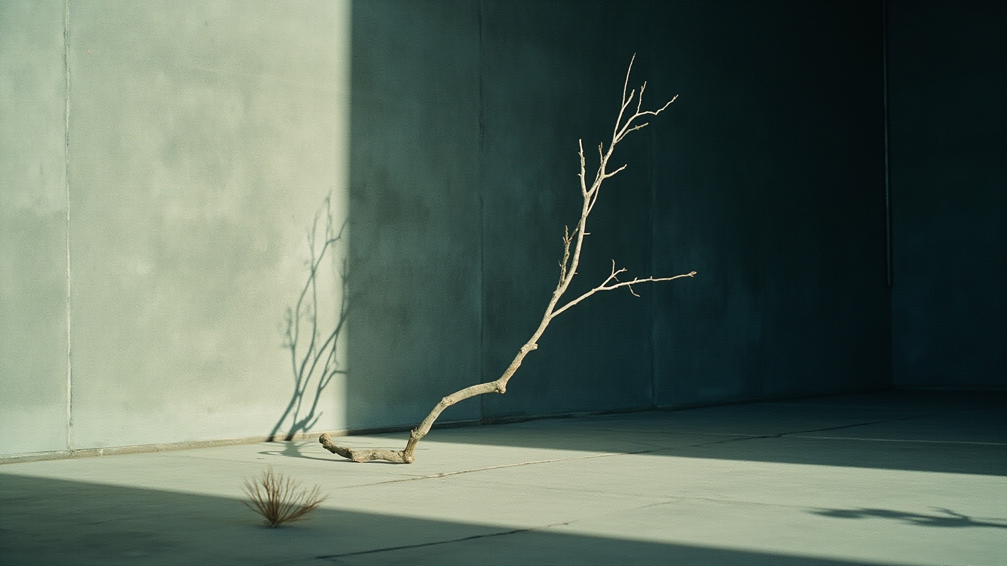 La Foret Russe by Nimere Parfums. Atmospheric mood
